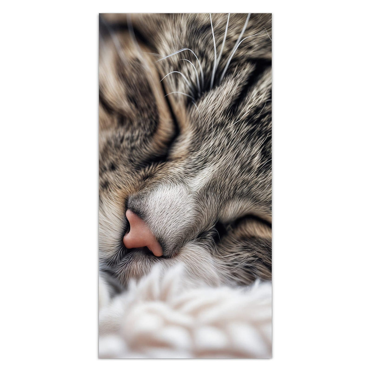 Wandbild aus Glas: Getigerte Katze schläft mit geschlossenen Augen, Kopf auf weißer Decke #grösse_30 x 60 cm #grösse_40 x 80 cm #grösse_50 x 100 cm #grösse_55 x 110 cm #grösse_60 x 120 cm