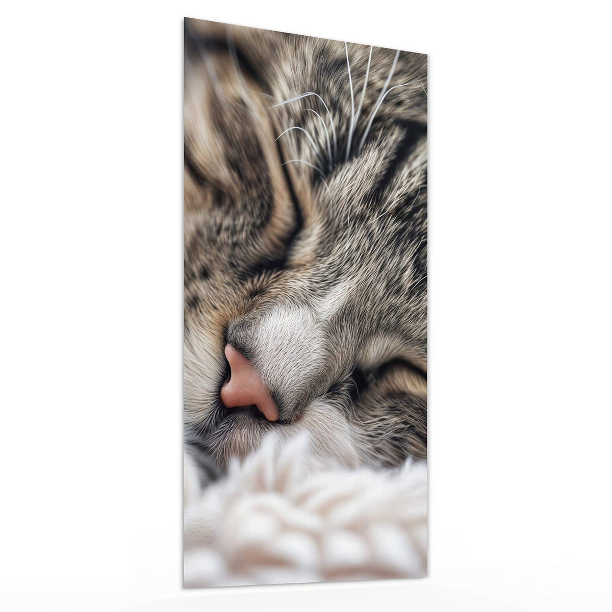 Wandbild aus Glas Schlafende Katze schräg von der Seite, 4 mm starkes Echtglas #grösse_30 x 60 cm #grösse_40 x 80 cm #grösse_50 x 100 cm #grösse_55 x 110 cm #grösse_60 x 120 cm