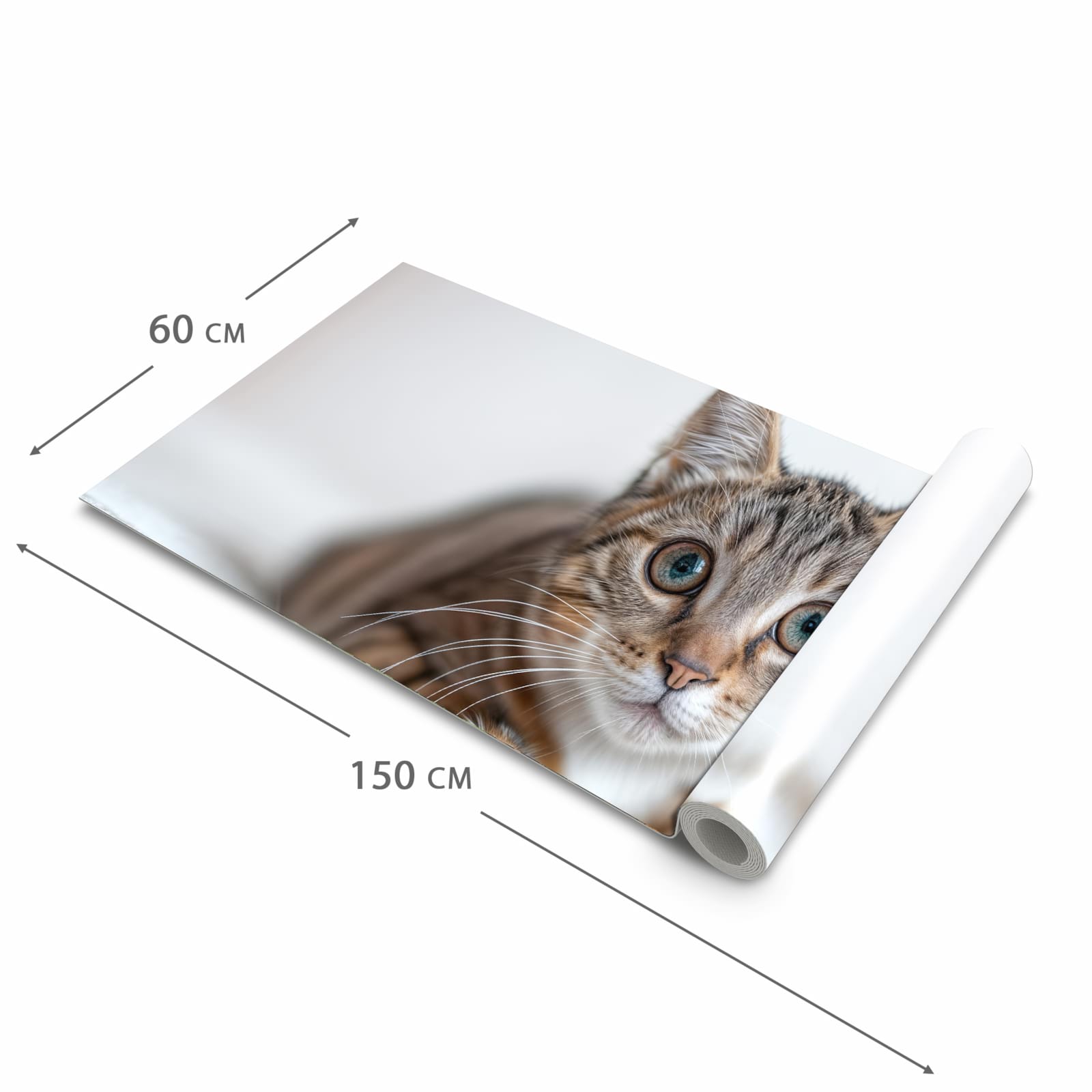 Komfortabler rutschfester Teppich mit Motiv Süße Kleine Katze in der Grösse 80x300 cm