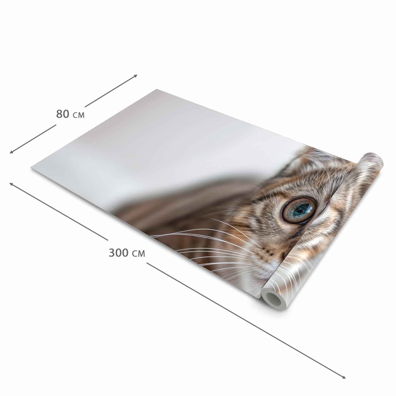 Feuchtigkeitsresistenter Küchenteppich mit Motiv Süße Kleine Katze in der Grösse 80x300 cm