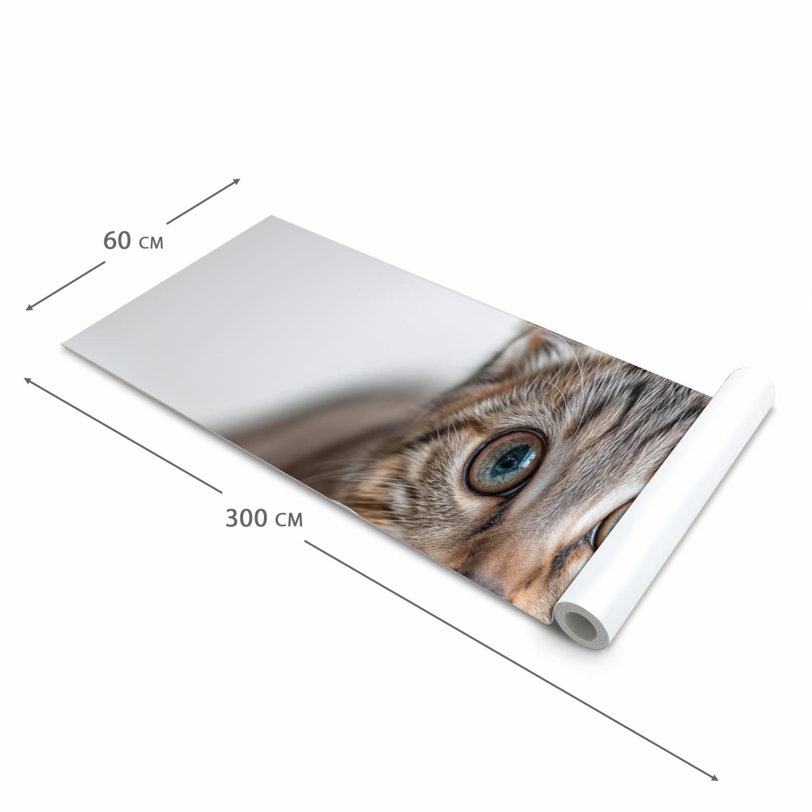 Hygienischer rutschfester Küchenteppich mit Motiv Süße Kleine Katze in der Grösse 80x300 cm