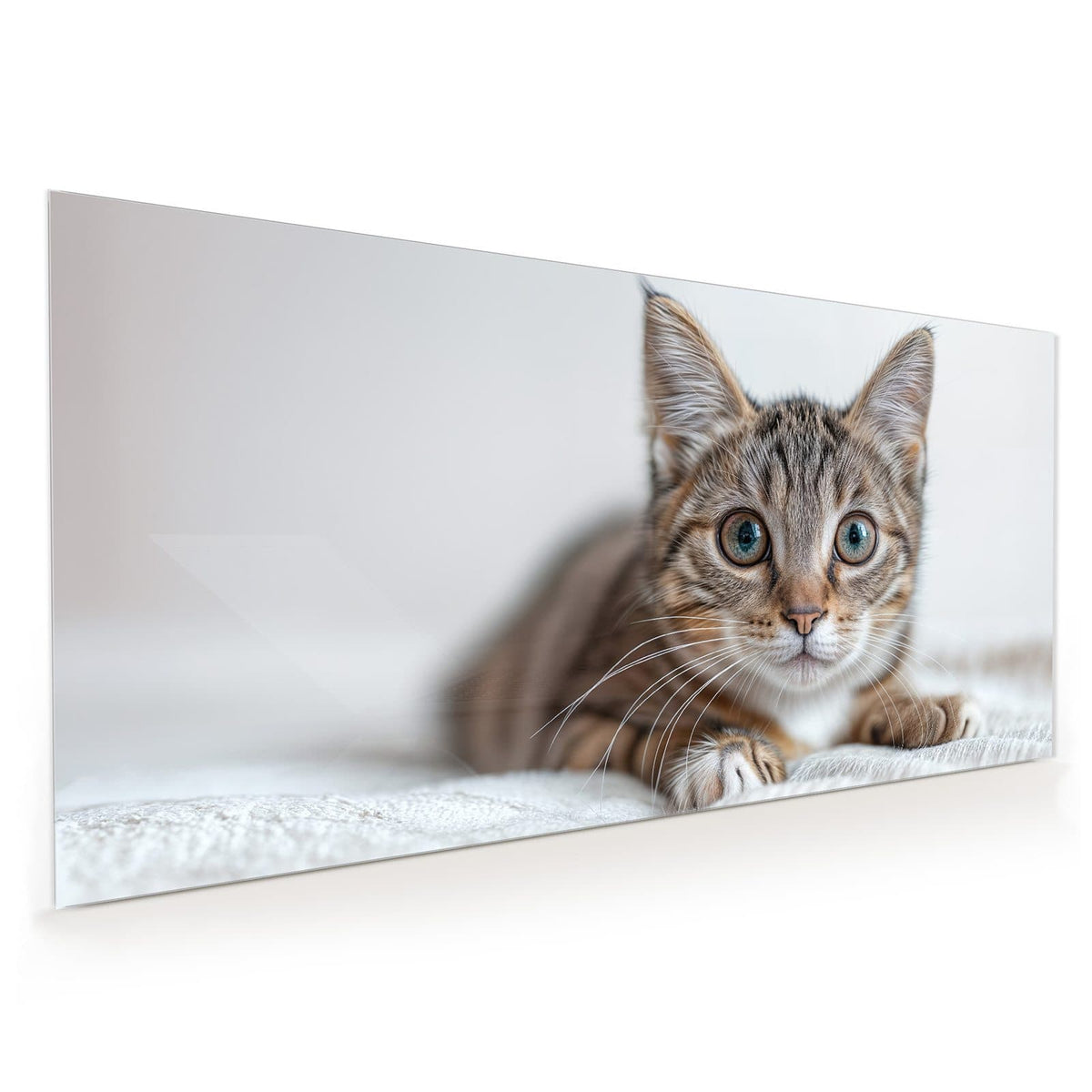 Küchenrückwand aus Glas im Hochformat mit Motiv Kätzchen auf Decke: Getigertes Kätzchen liegt auf weißer Kuscheldecke, große blaugrüne Augen