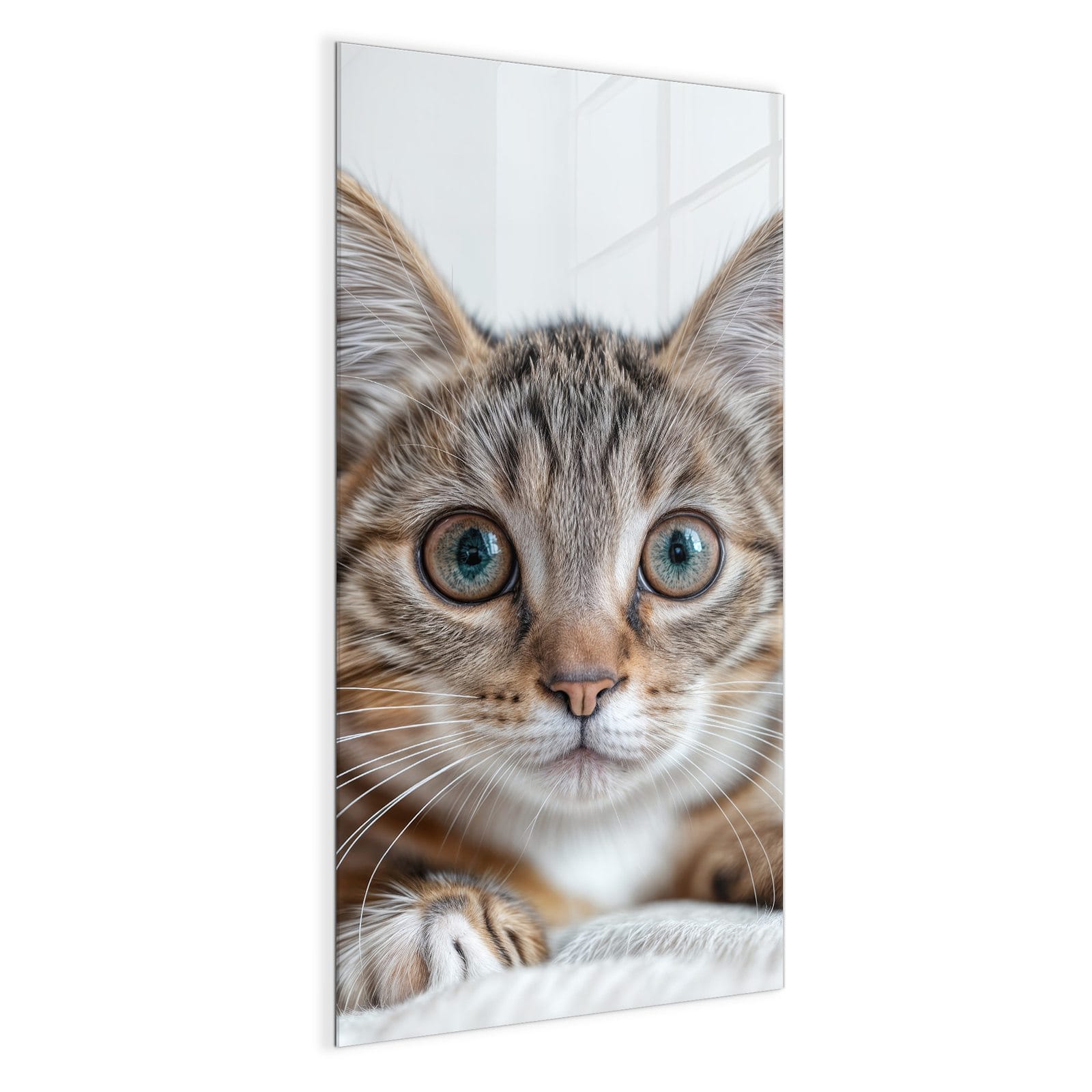 #grösse_50 x 100 cm