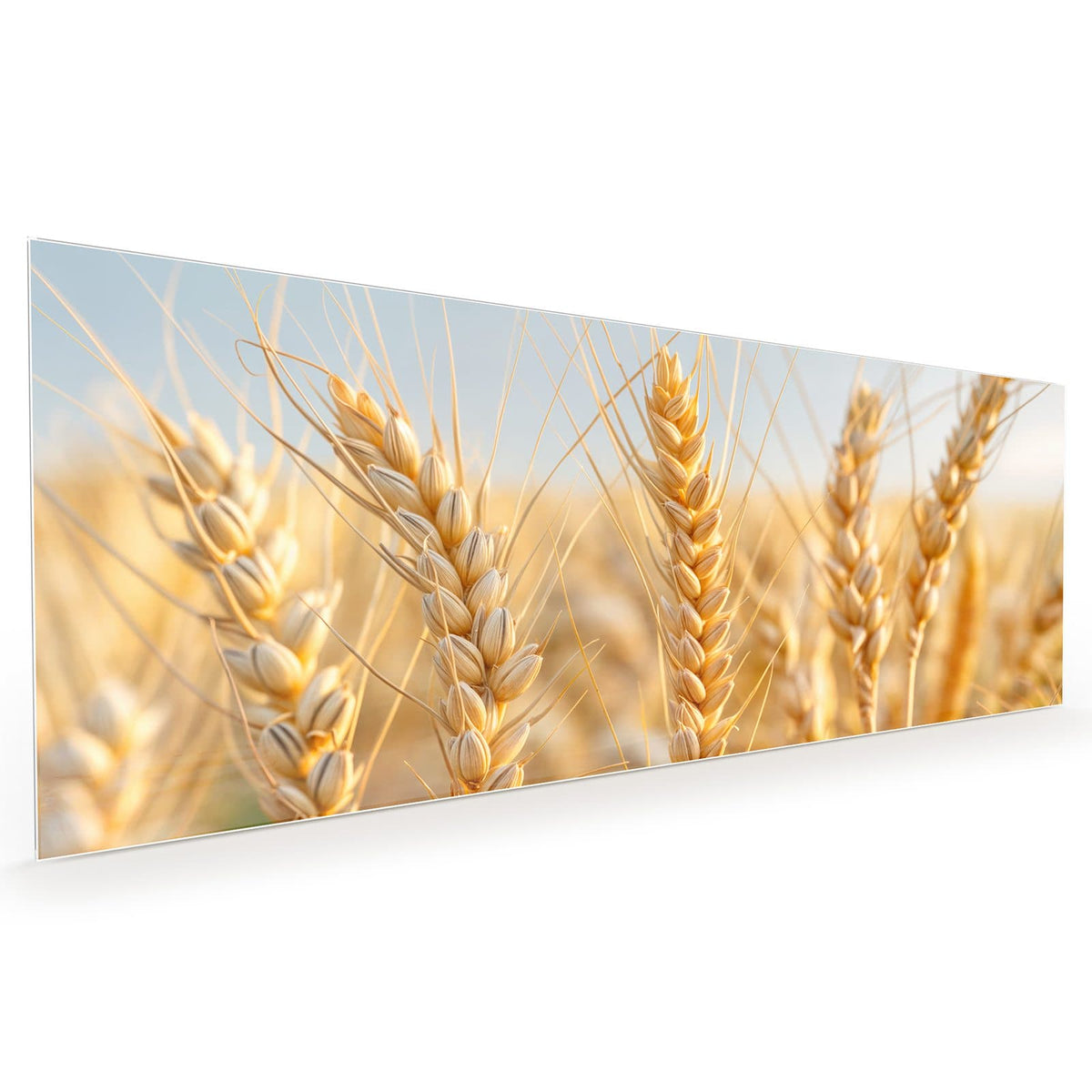 #größe_40 x 100 cm #größe_50 x 125 cm #größe_60 x 150 cm