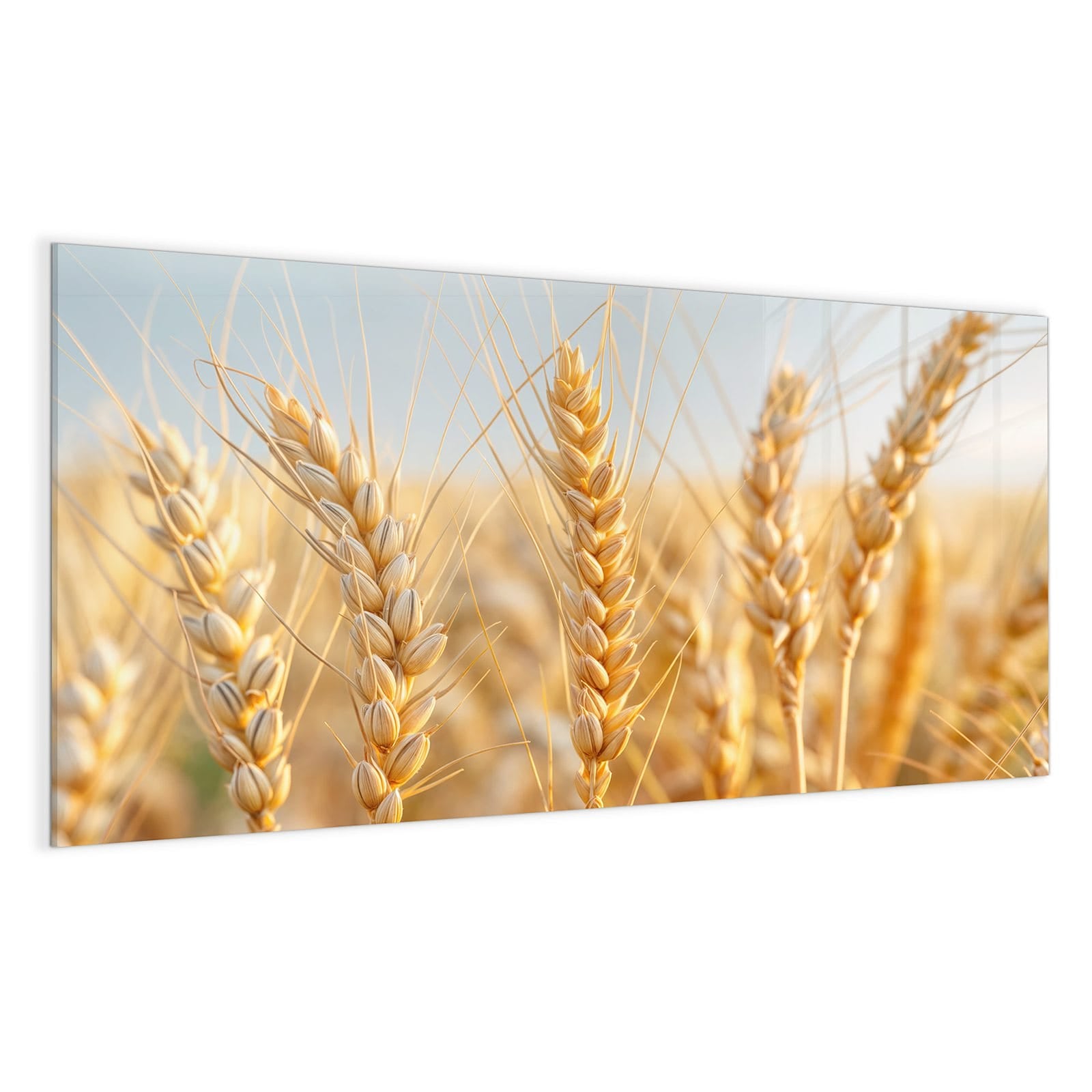 #grösse_100 x 50 cm