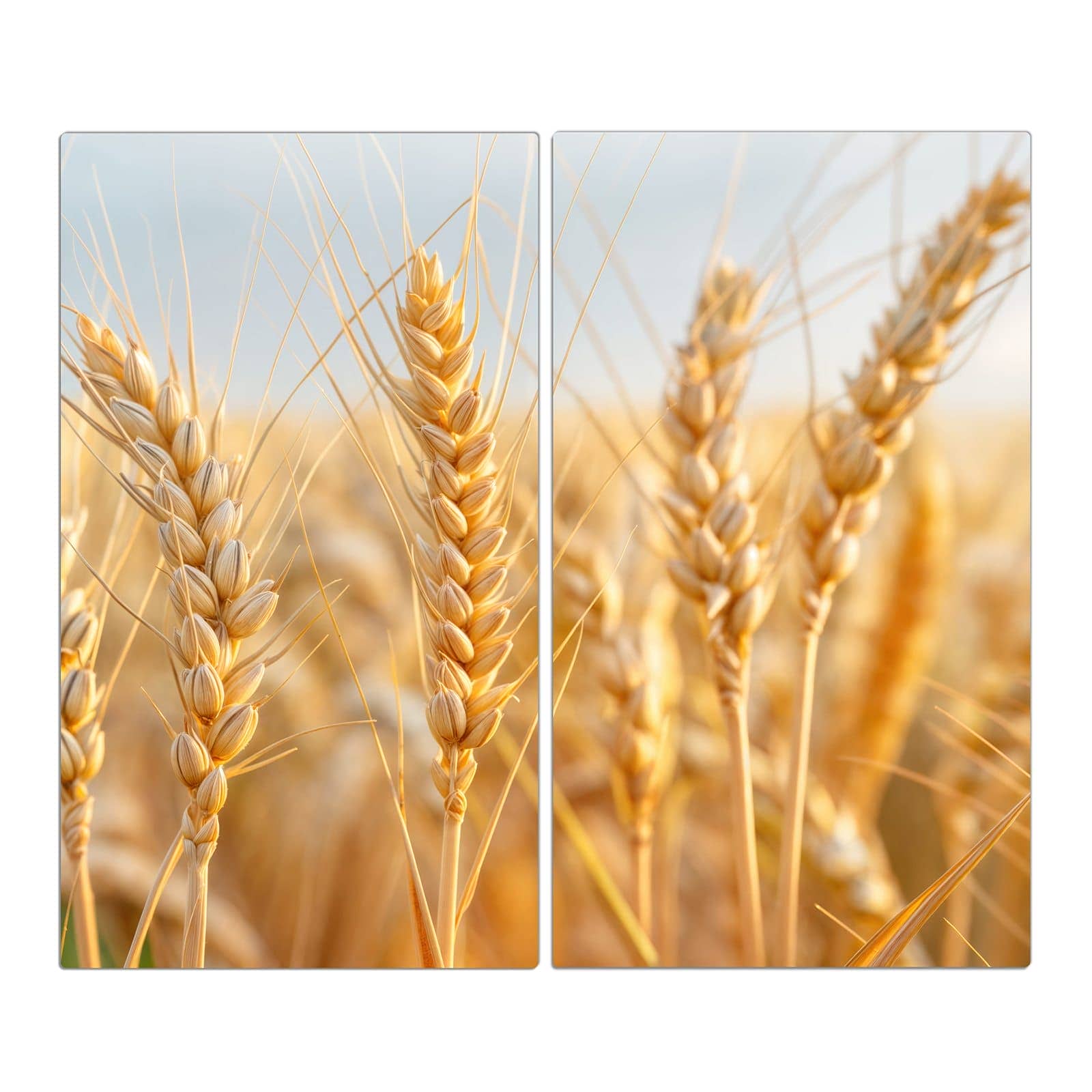 #grösse_2-teilig (je 30x52cm)