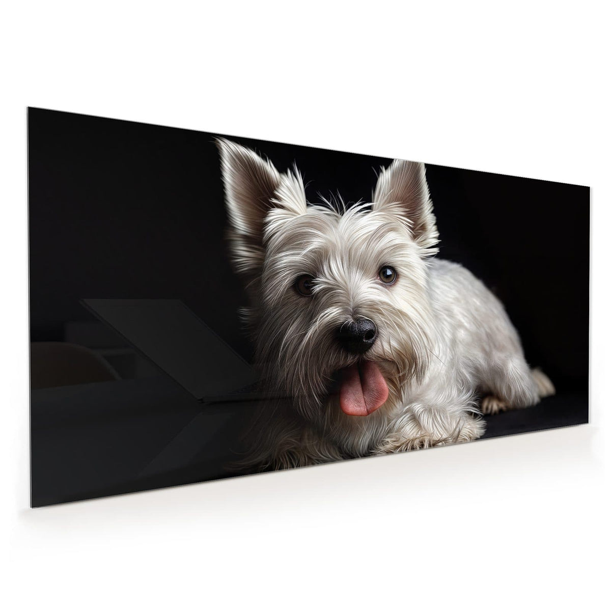 Küchenrückwand aus Glas im Hochformat: Weißer West-Highland-Terrier mit herausgestreckter Zunge vor schwarzem Hintergrund