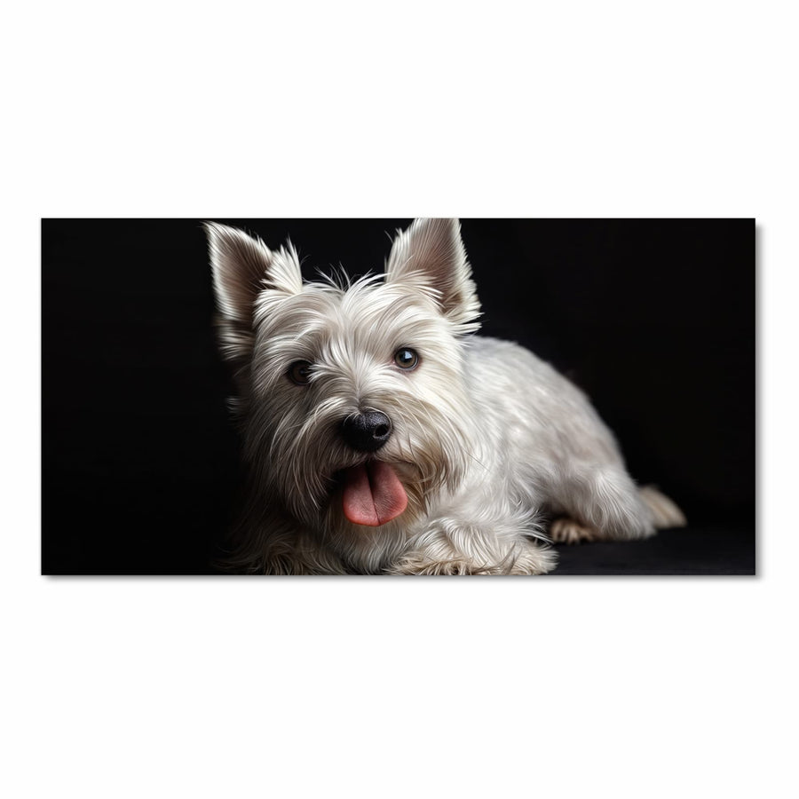 Maße Küchenläufer - Weißer Terrier