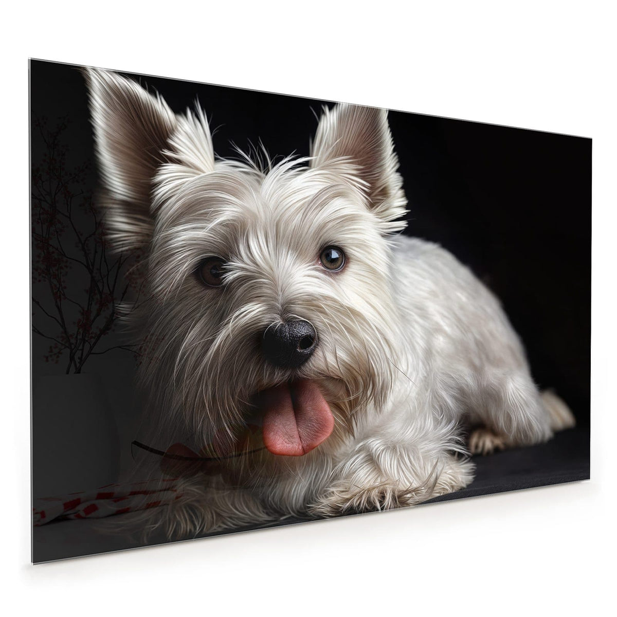Küchenrückwand aus Glas im Hochformat: Weißer West-Highland-Terrier mit herausgestreckter Zunge vor schwarzem Hintergrund