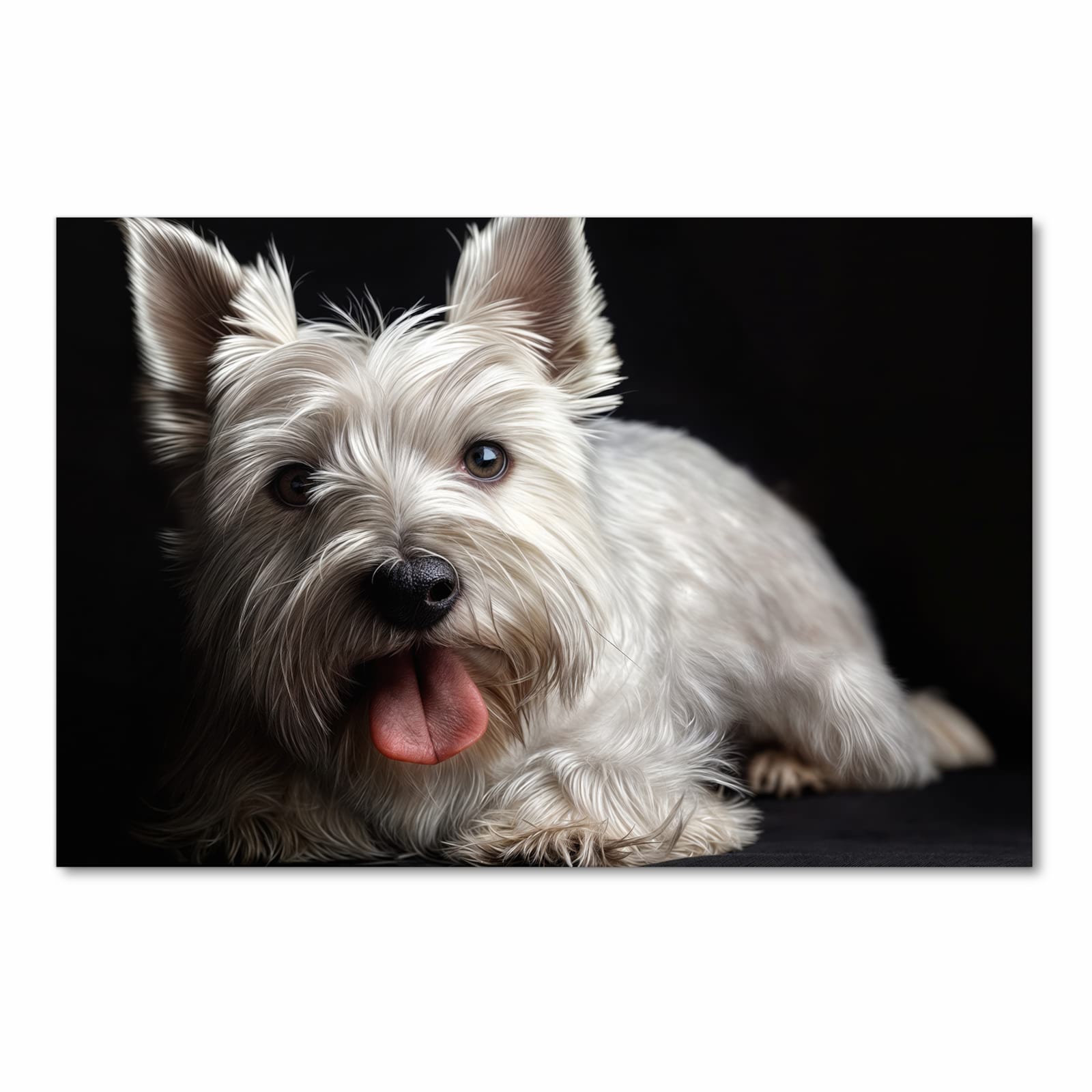 Waschbarer Küchenläufer mit Motiv Weisser Hund in Frontansicht für angenehme Haptik