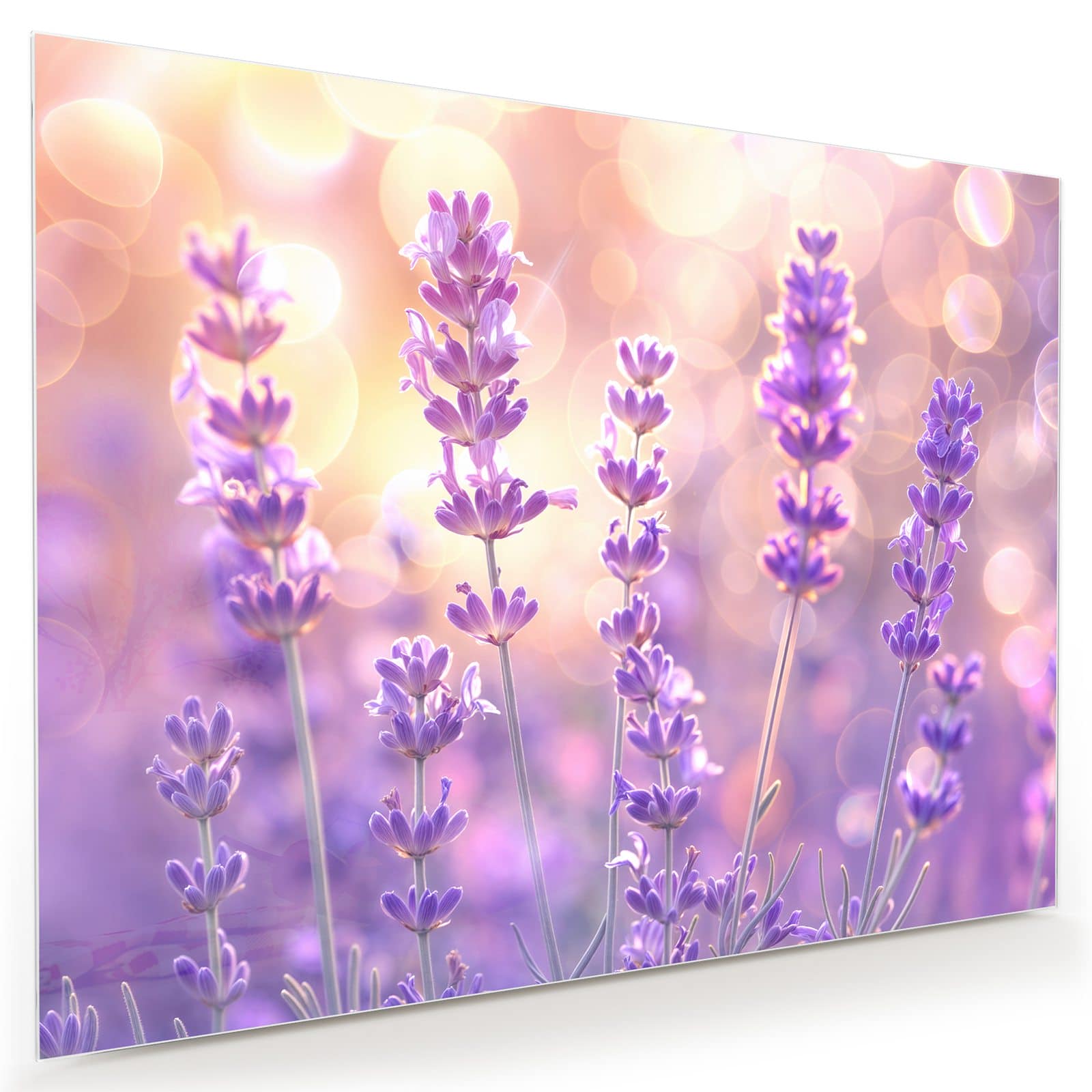 #grösse_80 x 60 cm #grösse_100 x 75 cm #grösse_120 x 90 cm