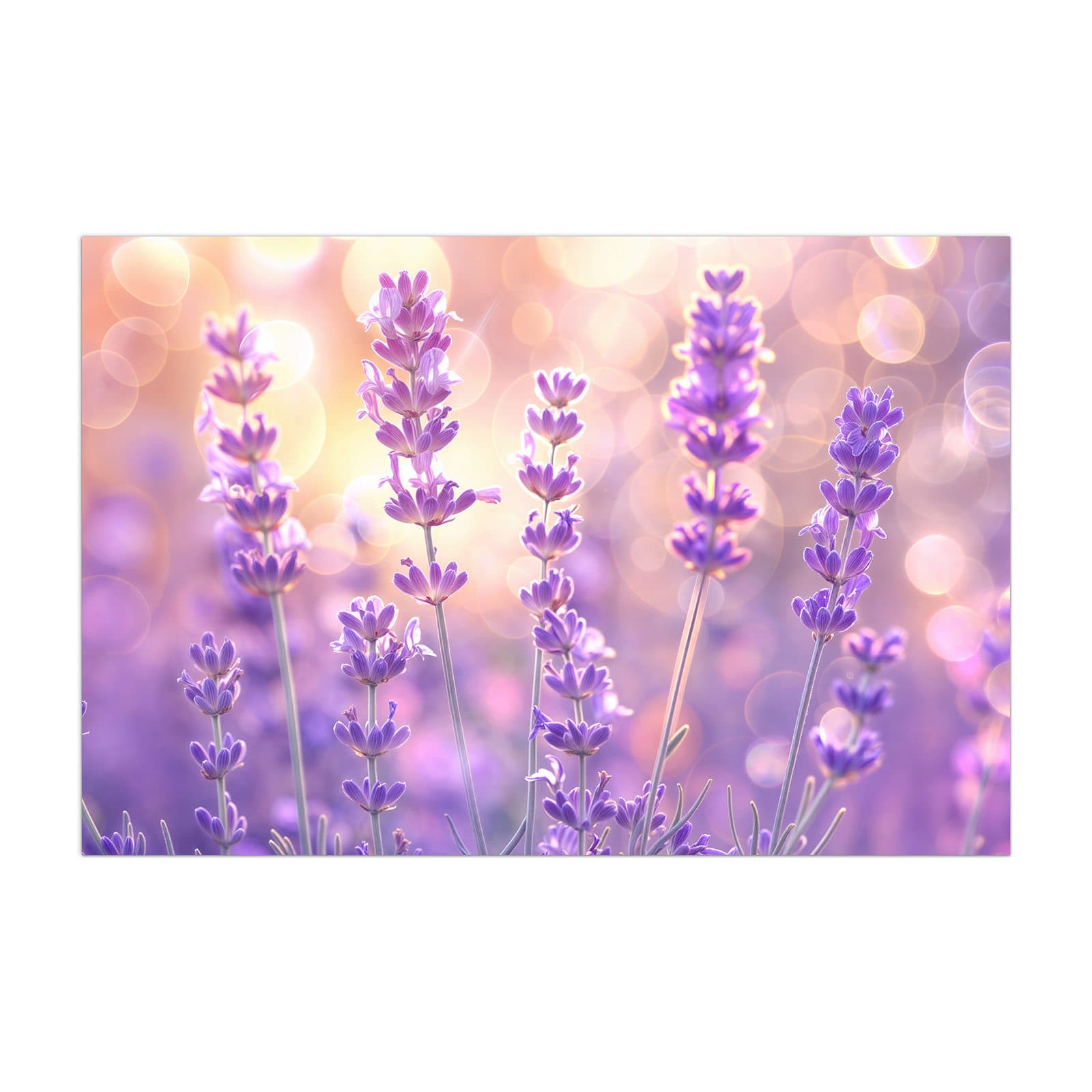 #grösse_40 x 60 cm #grösse_50 x 75 cm #grösse_60 x 90 cm #grösse_80 x 120 cm