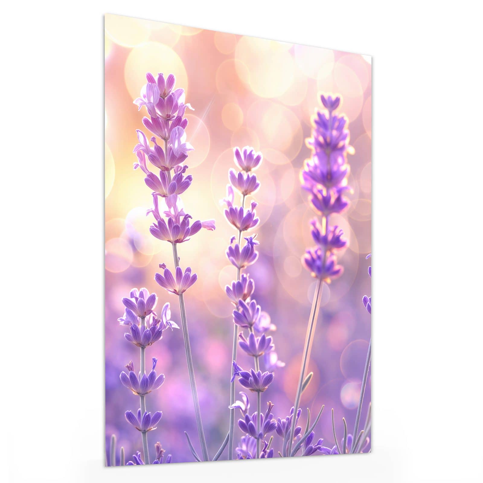 #grösse_30 x 40 cm #grösse_60 x 80 cm #grösse_75 x 100 cm