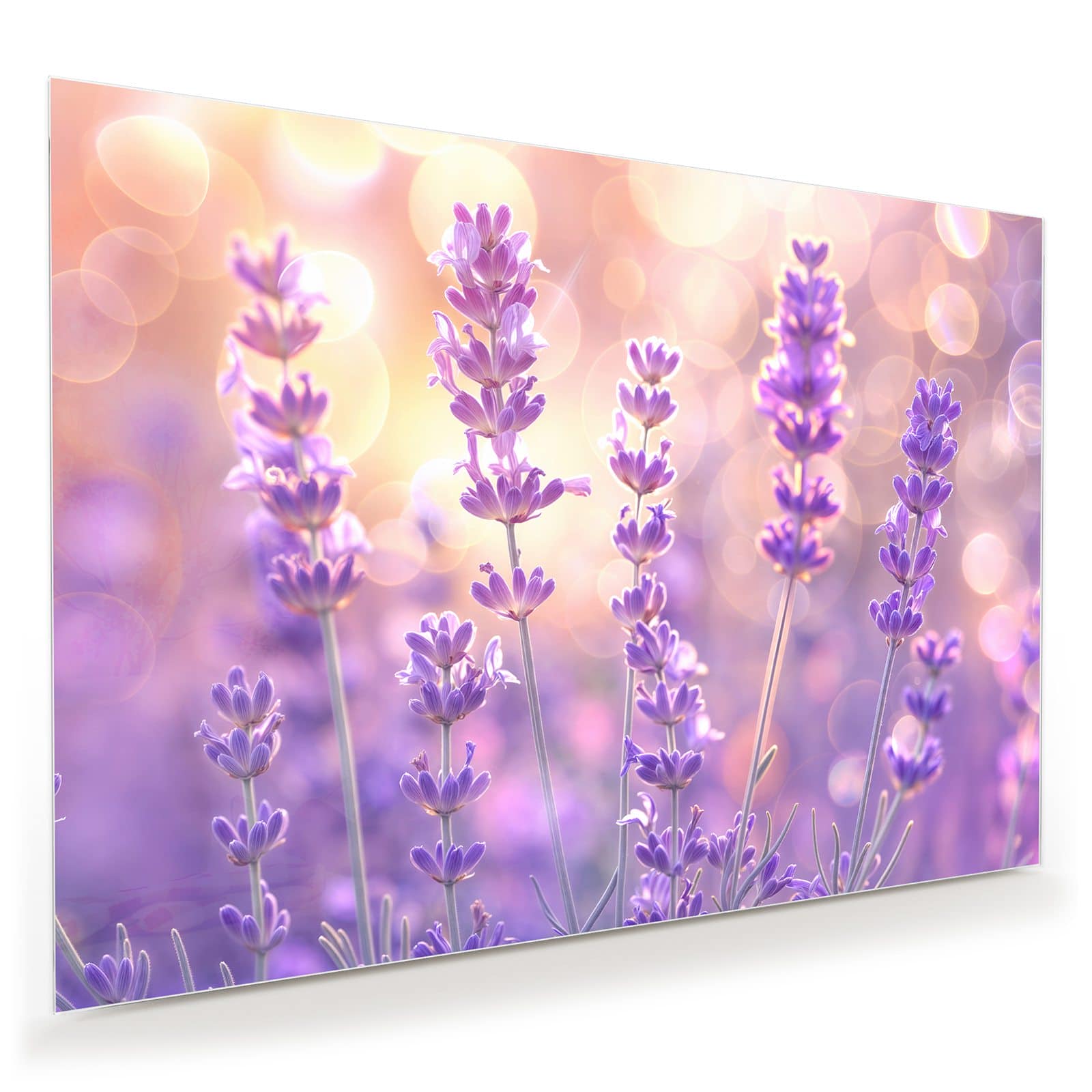 #grösse_100 x 70 cm