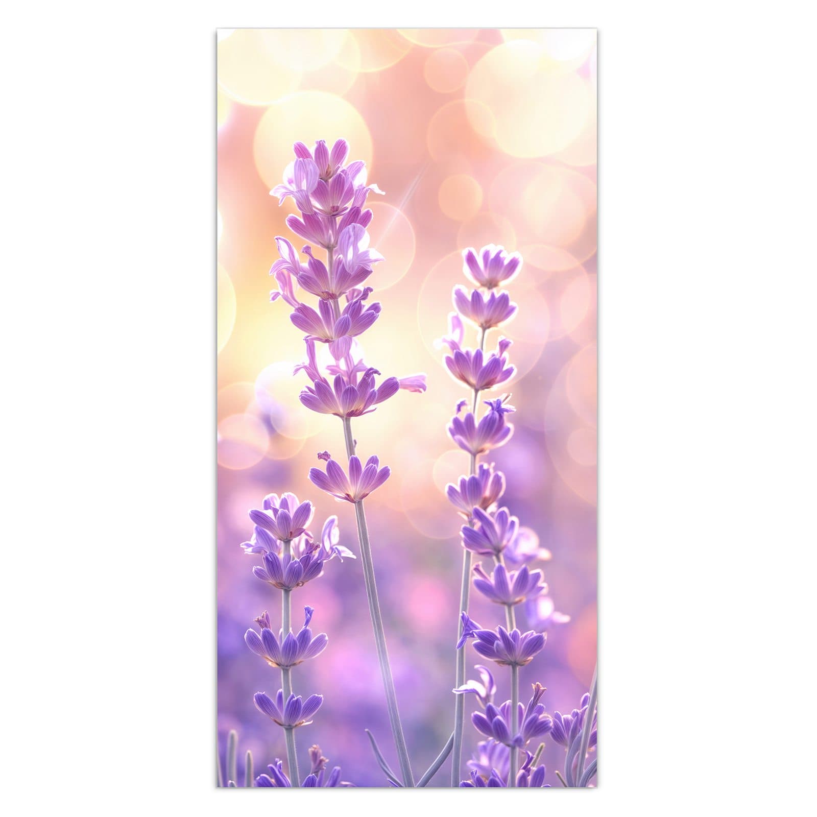 #grösse_30 x 60 cm #grösse_40 x 80 cm #grösse_50 x 100 cm #grösse_55 x 110 cm #grösse_60 x 120 cm