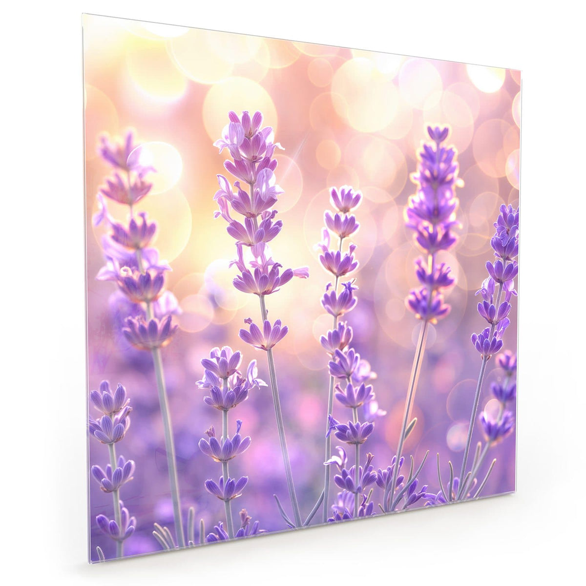 #grösse_40 x 40 cm #grösse_50 x 50 cm #grösse_60 x 60 cm