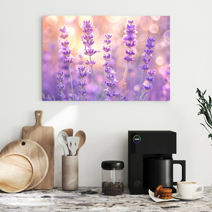 Maße Metall Magnettafel - Lavendel im Gegenlicht