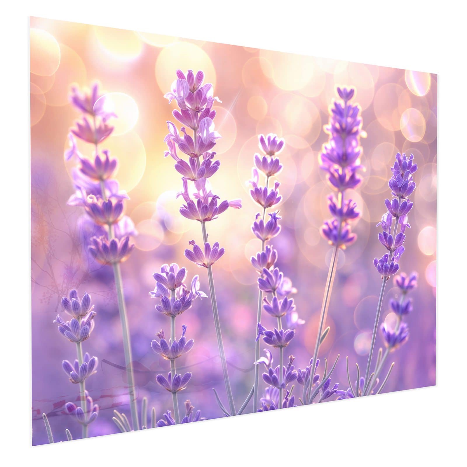 #grösse_75 x 60 cm #grösse_100 x 80 cm