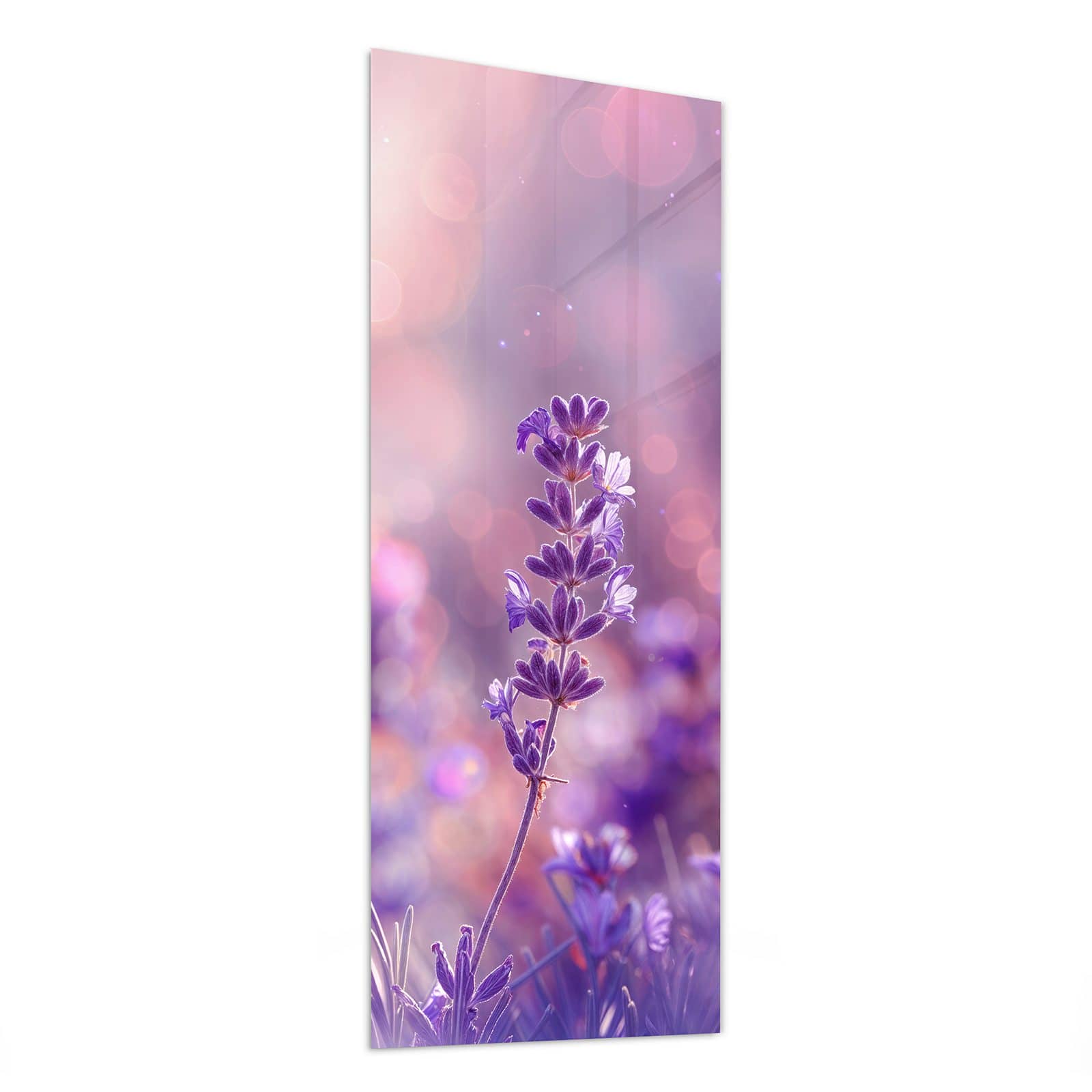 #grösse_50 x 125 cm #grösse_40 x 100 cm #grösse_60 x 150 cm