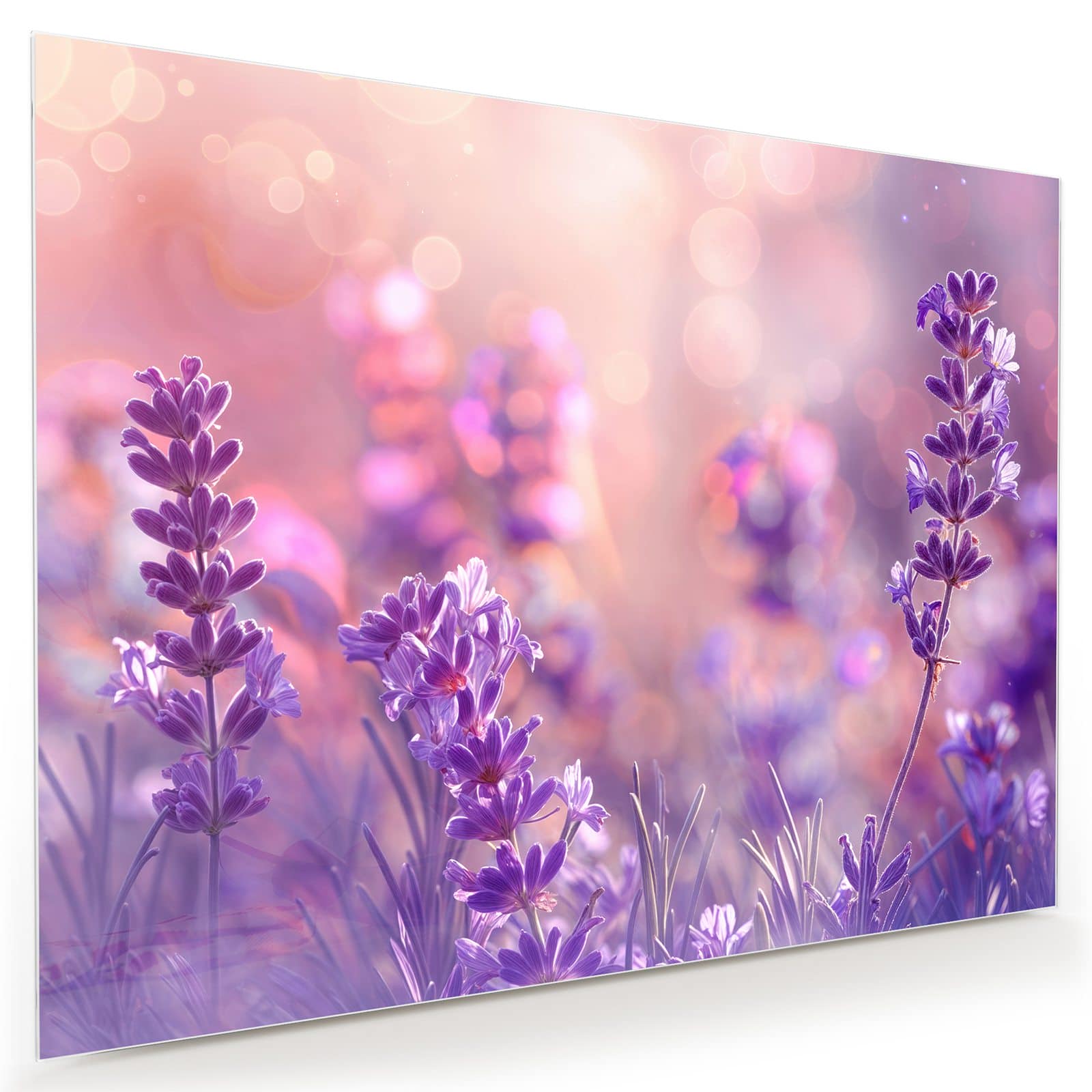 #grösse_80 x 60 cm #grösse_100 x 75 cm #grösse_120 x 90 cm