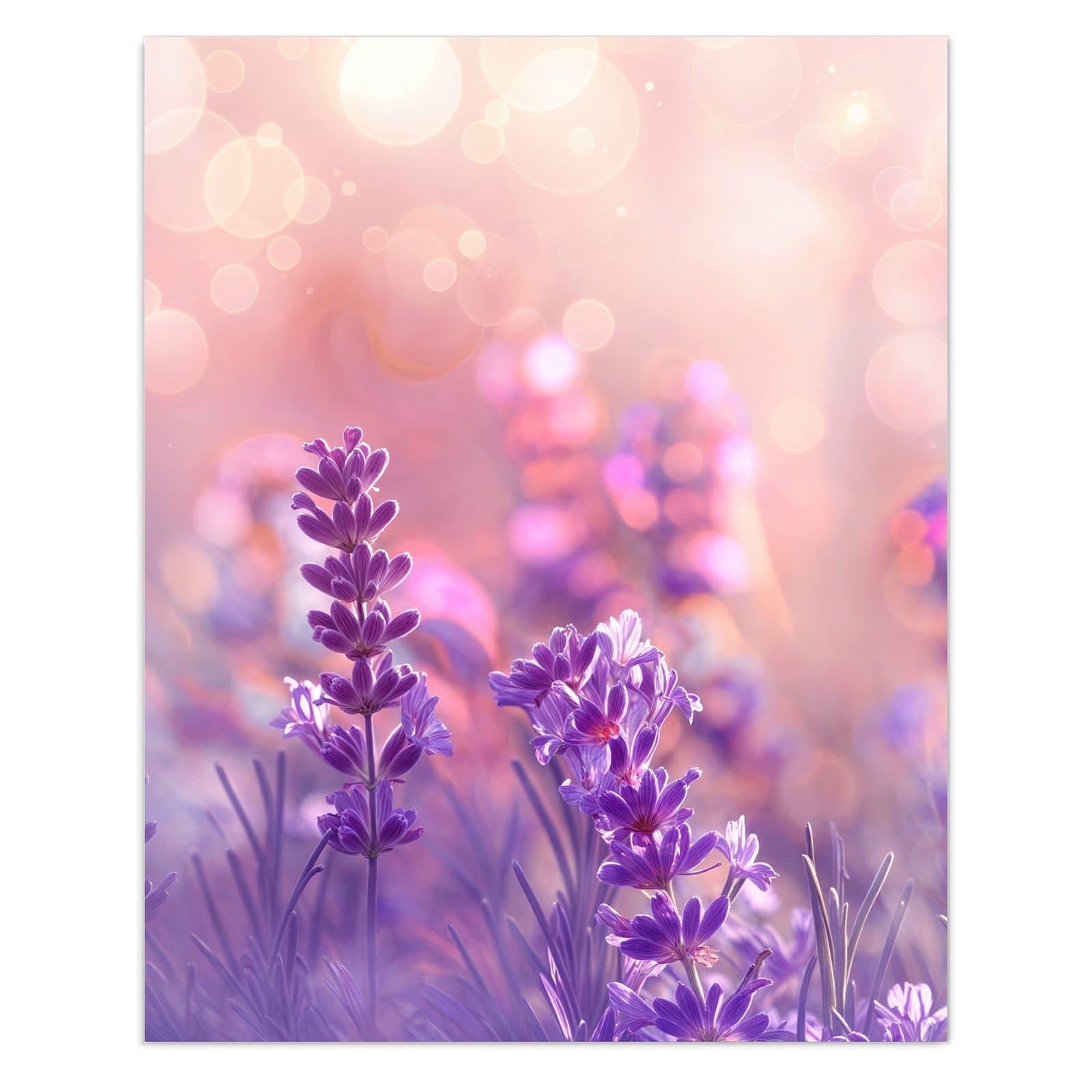 #grösse_60 x 75 cm #grösse_80 x 100 cm