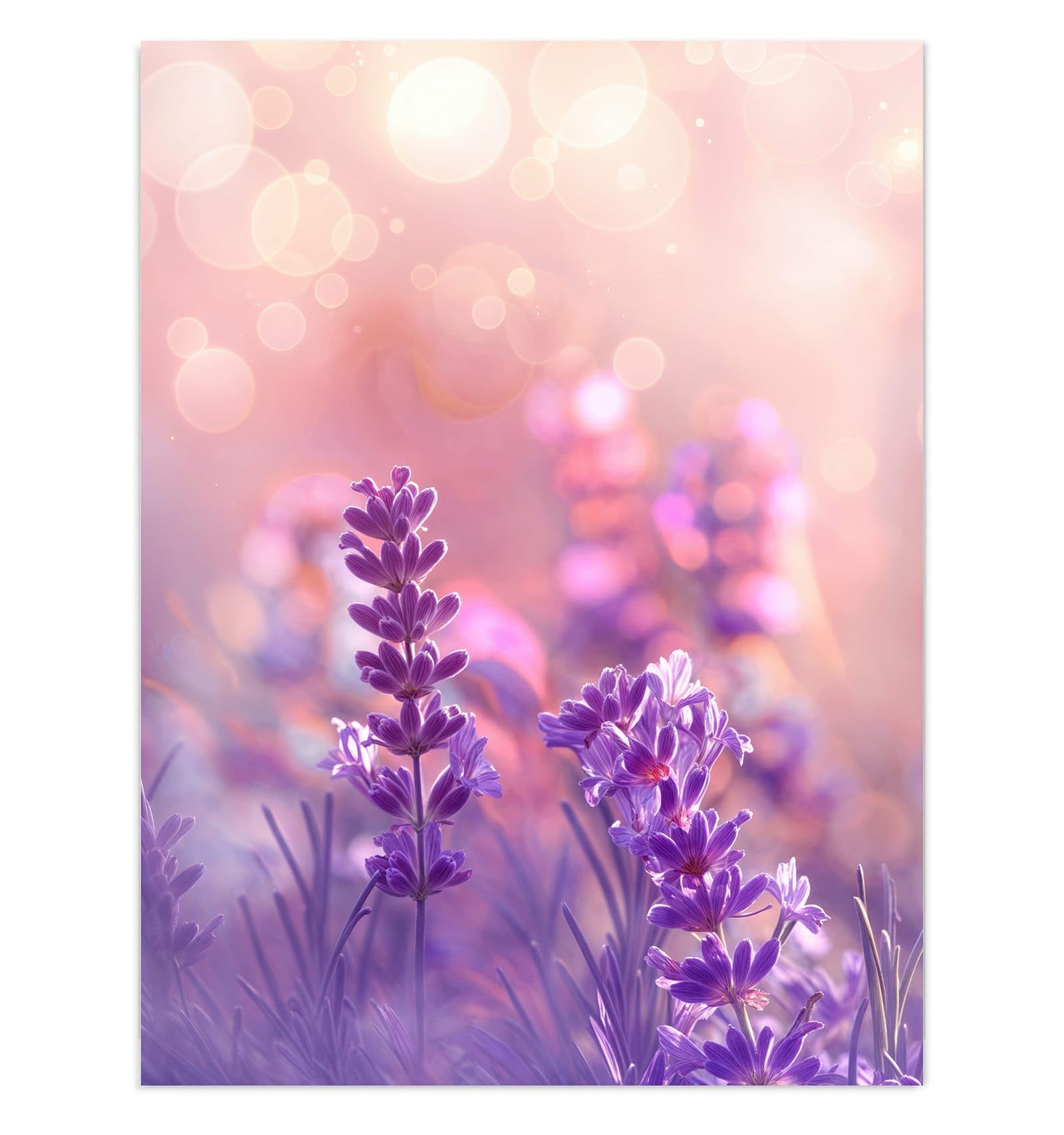 #grösse_30 x 40 cm #grösse_60 x 80 cm #grösse_75 x 100 cm