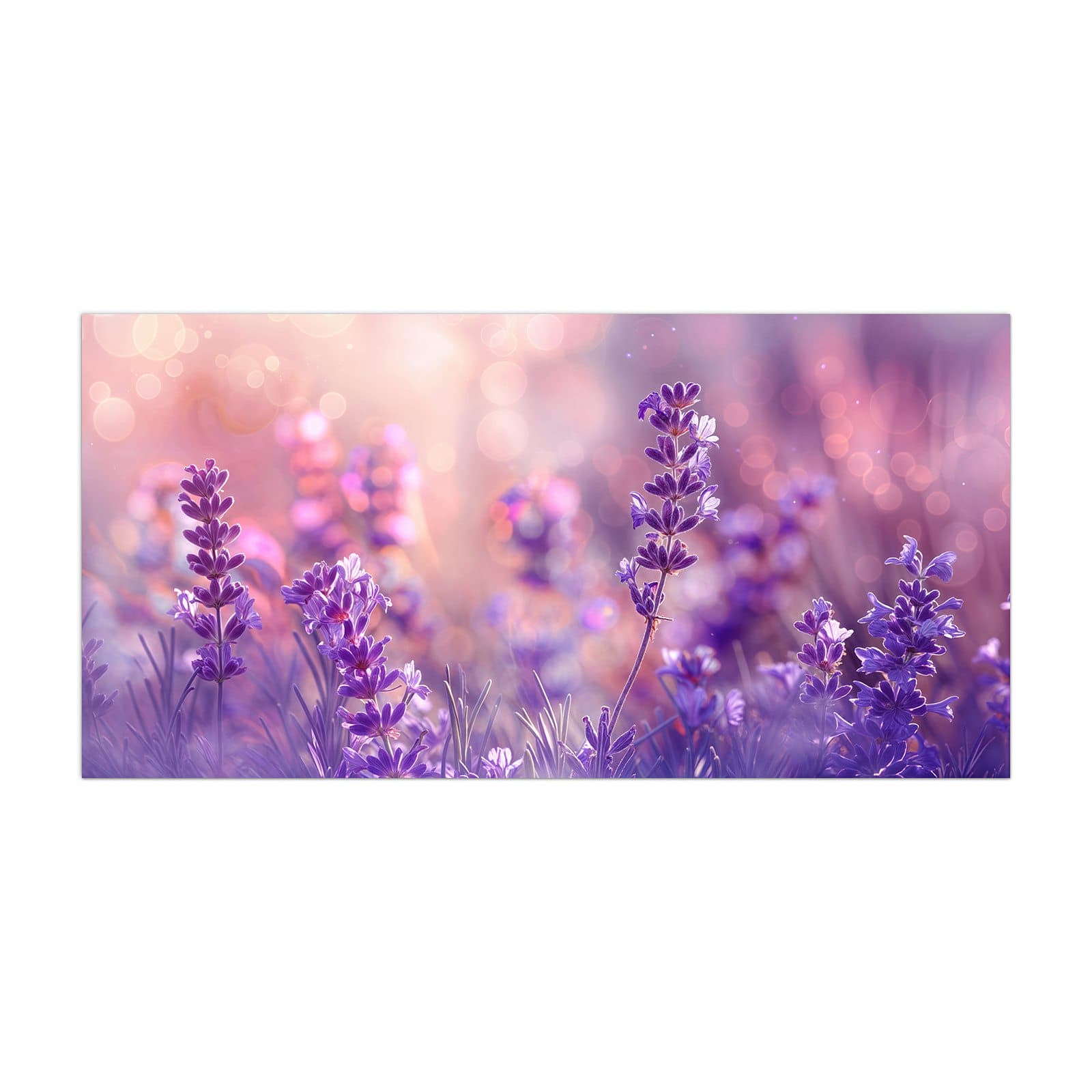 #grösse_40 x 80 cm #grösse_50 x 100 cm #grösse_55 x 110 cm #grösse_60 x 120 cm