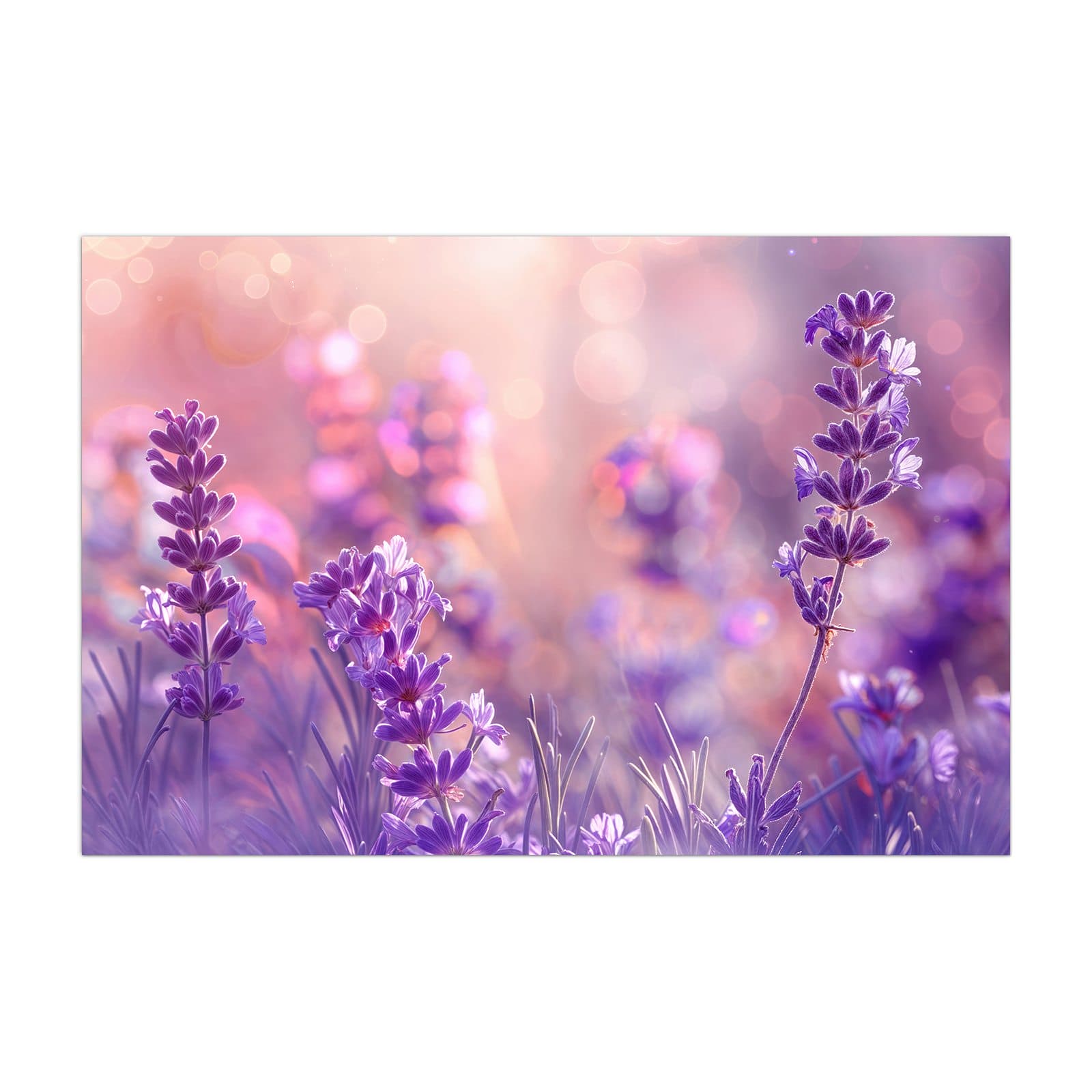 #grösse_40 x 60 cm #grösse_50 x 75 cm #grösse_60 x 90 cm #grösse_80 x 120 cm