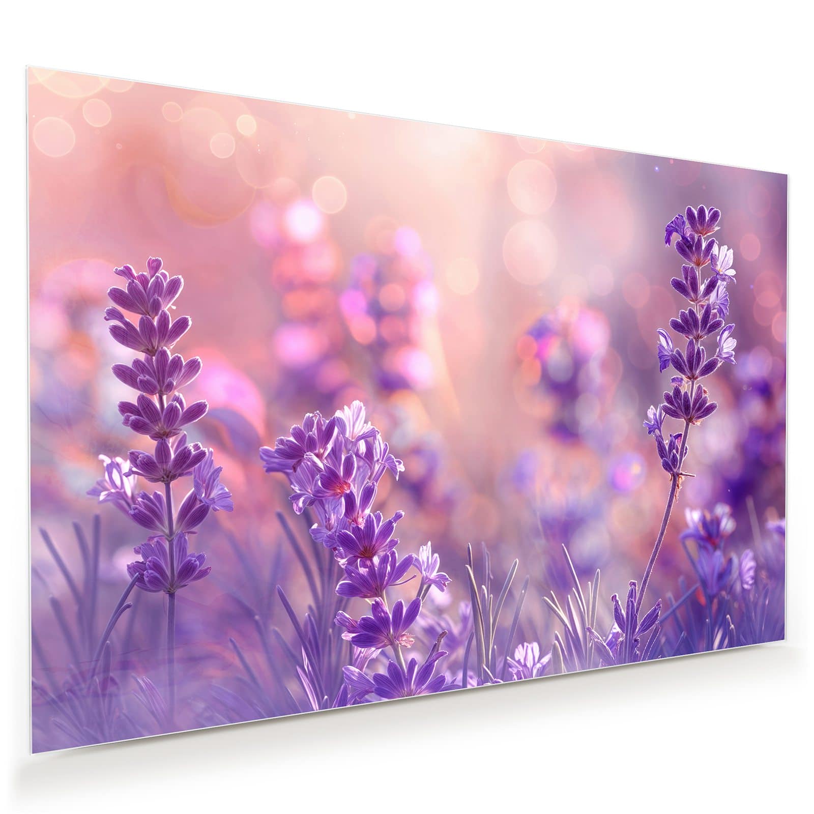 #grösse_45 x 30 cm #grösse_60 x 40 cm #grösse_75 x 50 cm #grösse_90 x 60 cm #grösse_120 x 80 cm