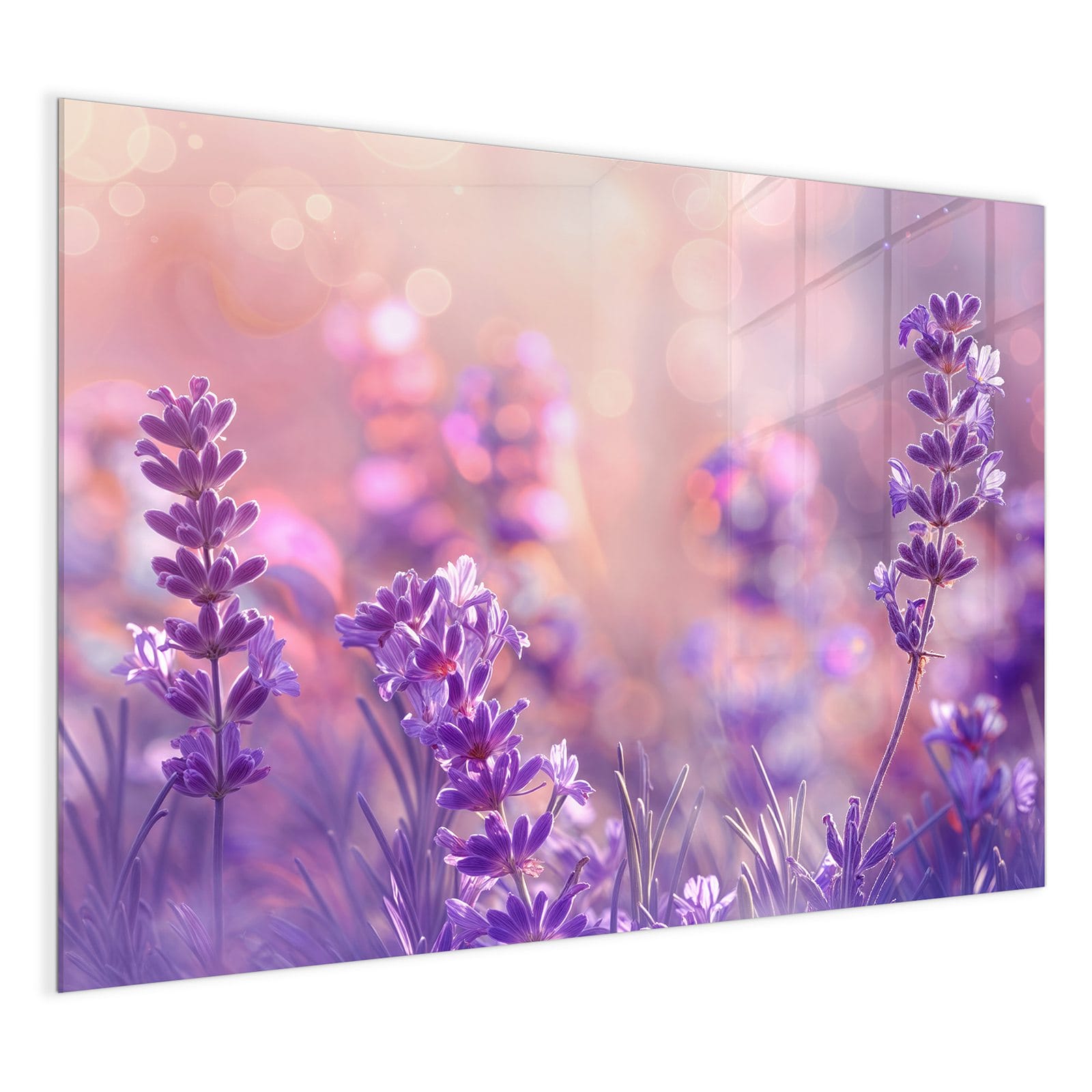 #grösse_120 x 90 cm