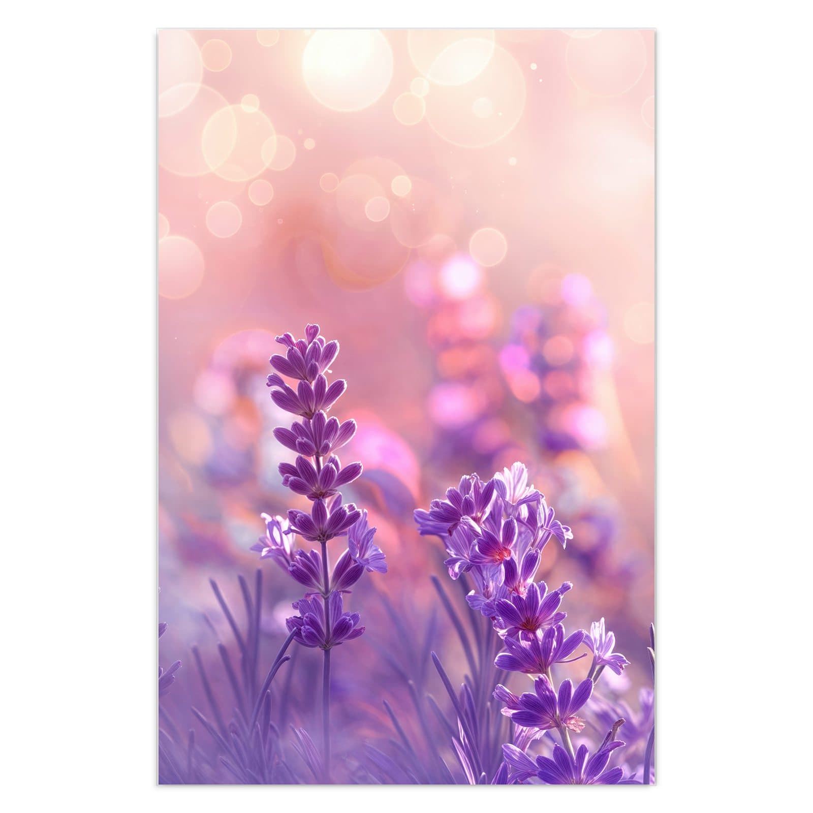 #grösse_40 x 60 cm #grösse_50 x 75 cm #grösse_60 x 90 cm