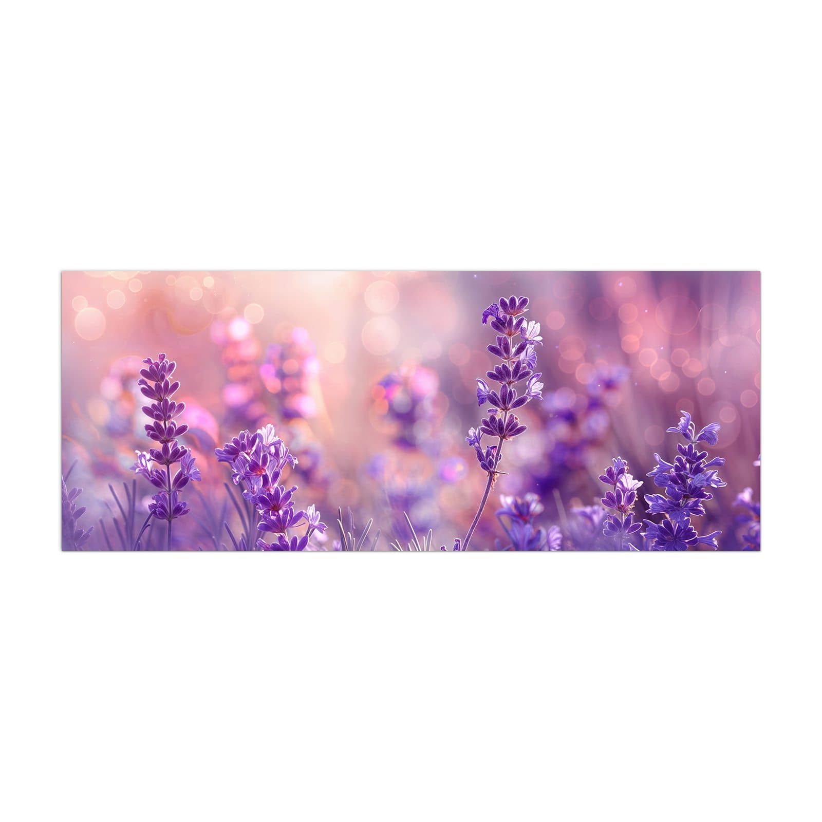 #grösse_40 x 100 cm #grösse_50 x 125 cm #grösse_60 x 150 cm