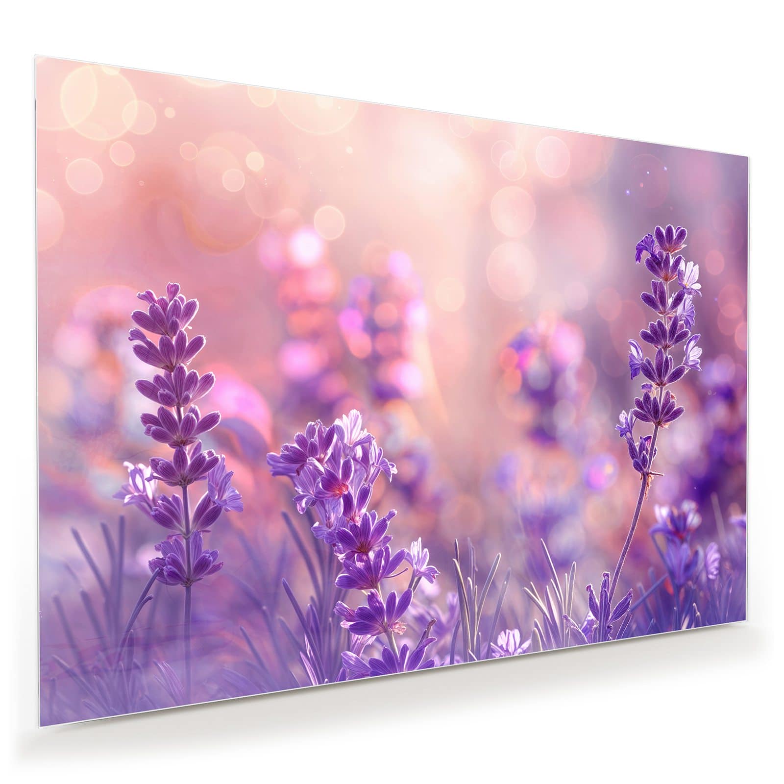 #grösse_100 x 70 cm