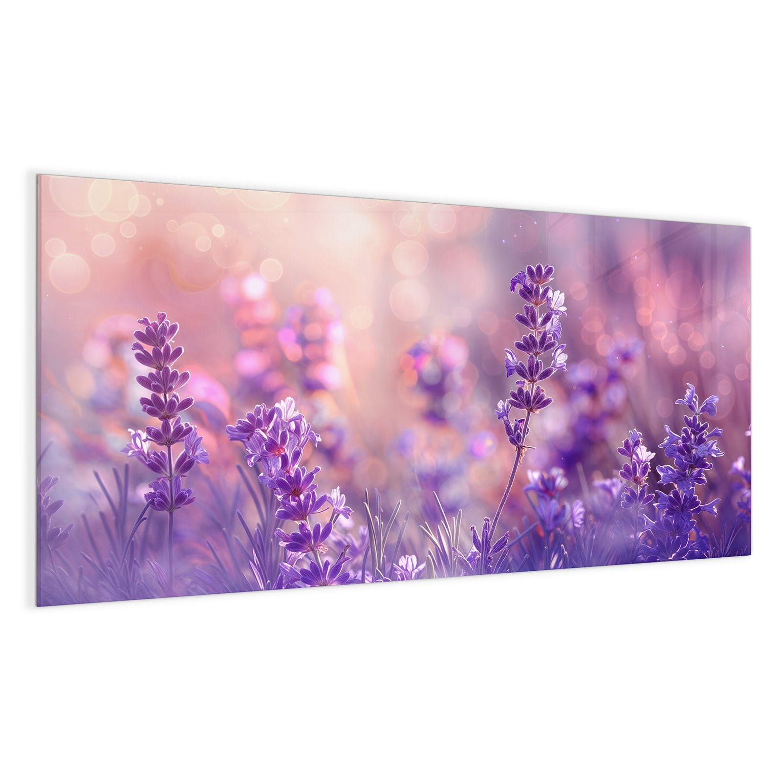 #grösse_100 x 50 cm