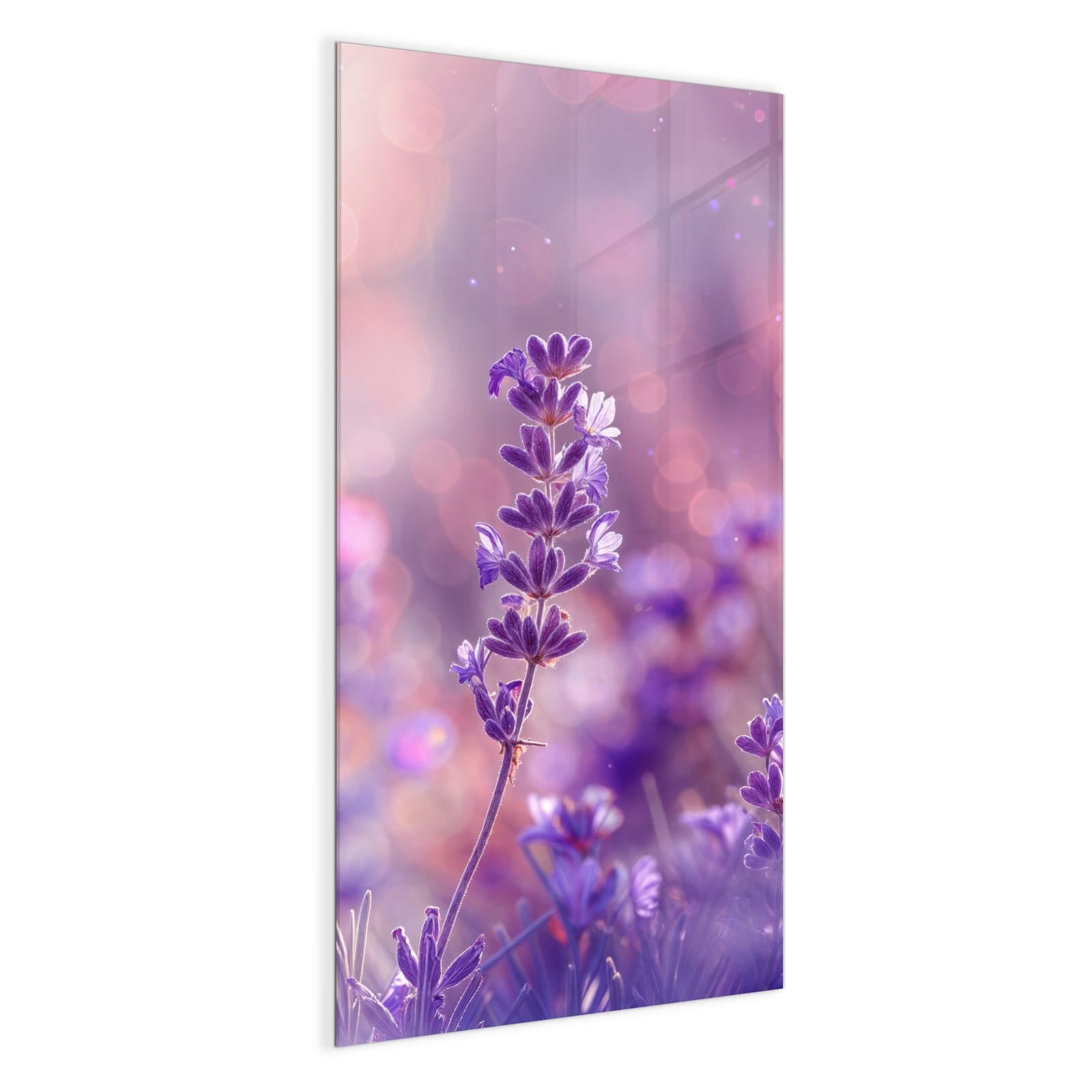 #grösse_50 x 100 cm