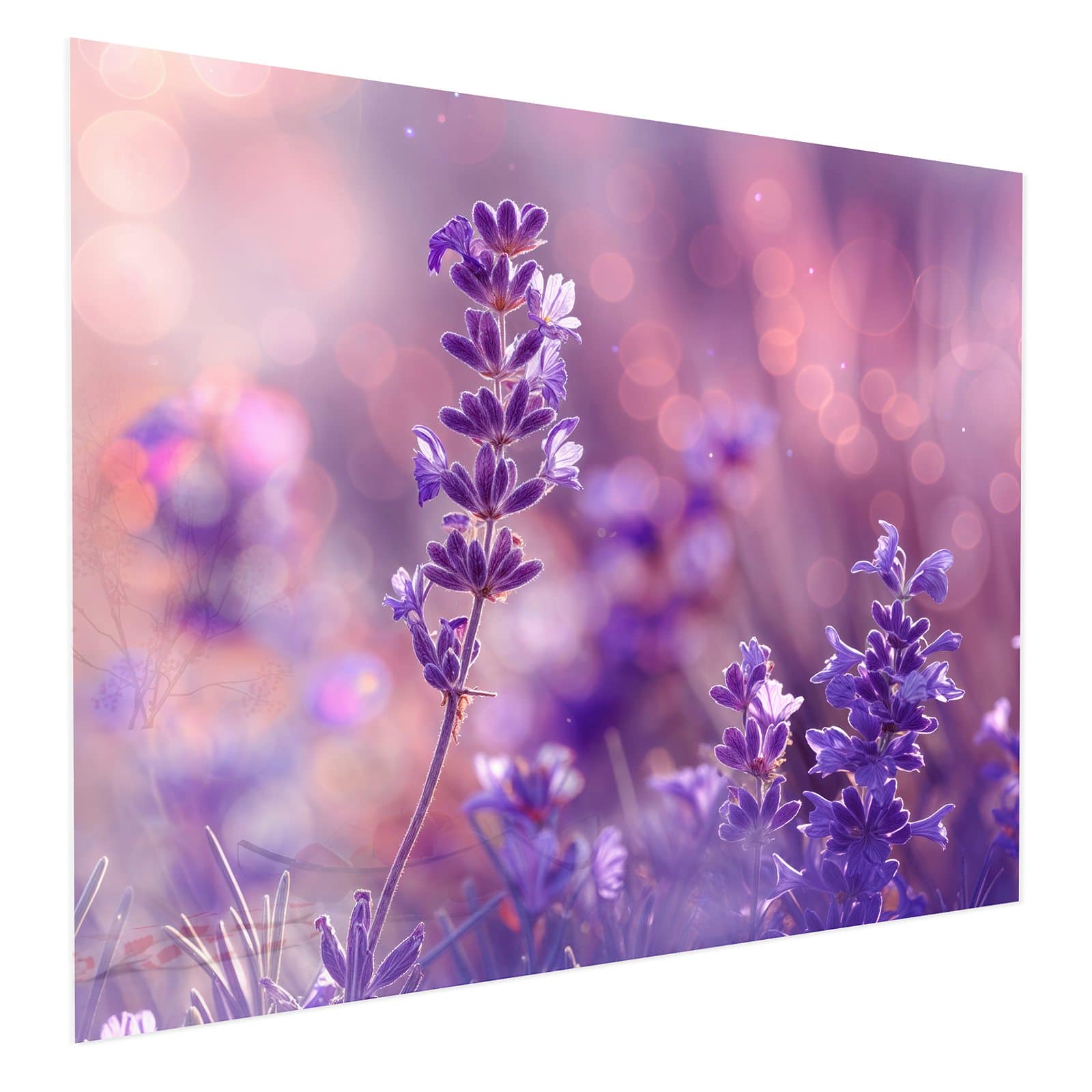 #grösse_75 x 60 cm #grösse_100 x 80 cm