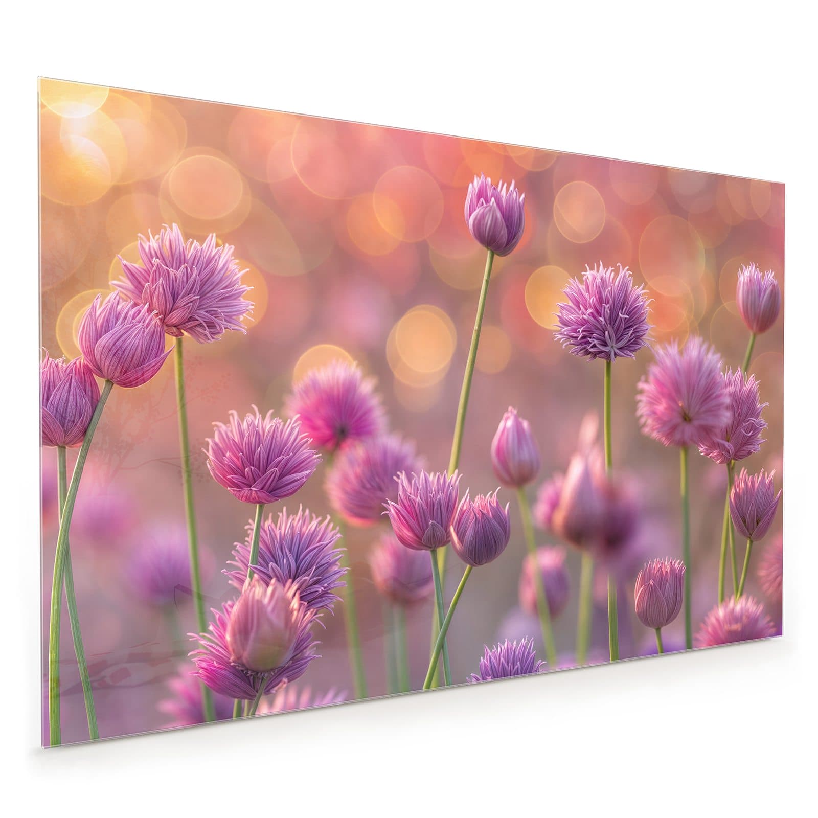 #80 x 120 cm_