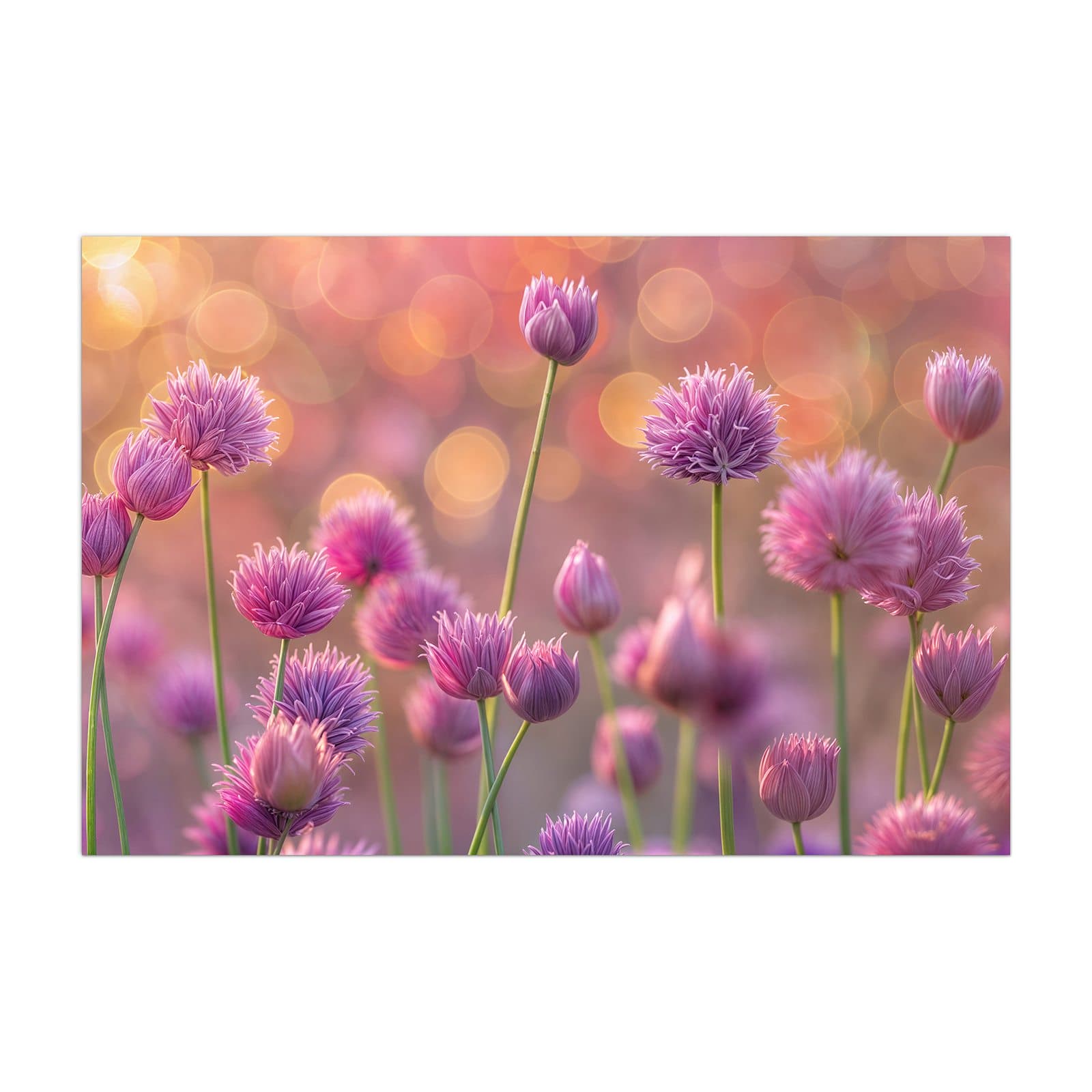 #grösse_40 x 60 cm #grösse_50 x 75 cm #grösse_60 x 90 cm #grösse_80 x 120 cm