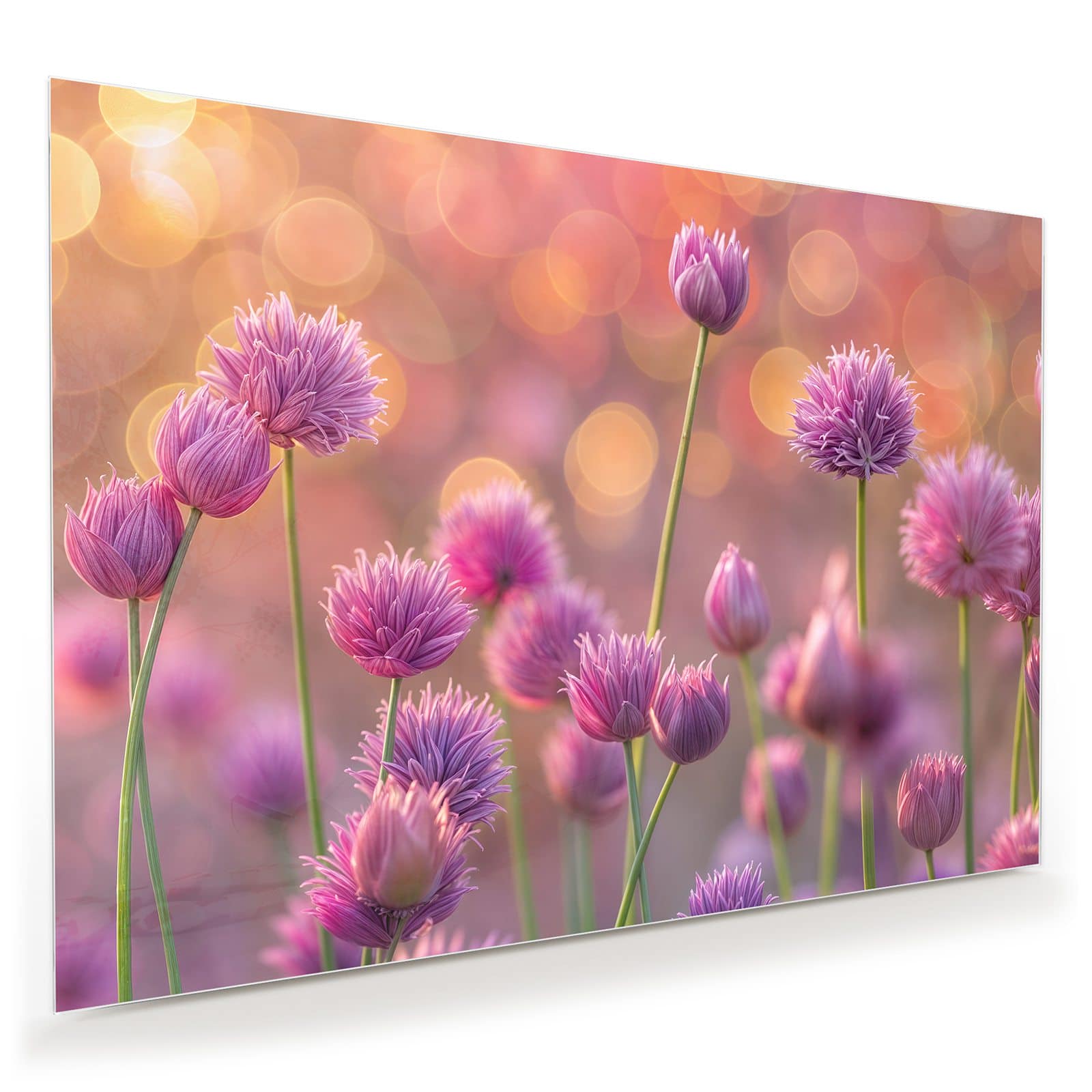 #grösse_100 x 70 cm