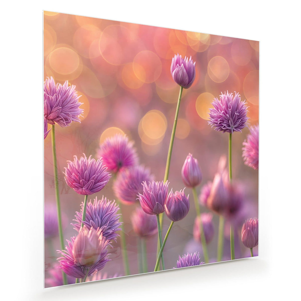Rosa-violette Lauchblüten auf dünnen Stielen vor warmem orangefarbenem Bokeh