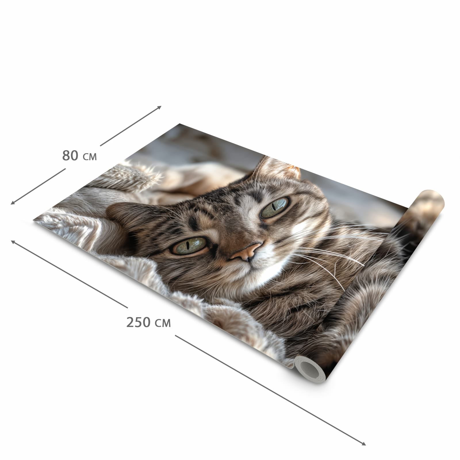 Zeitsparender Küchenteppich mit Motiv Gemütliche Katze in der Grösse 60x120 cm