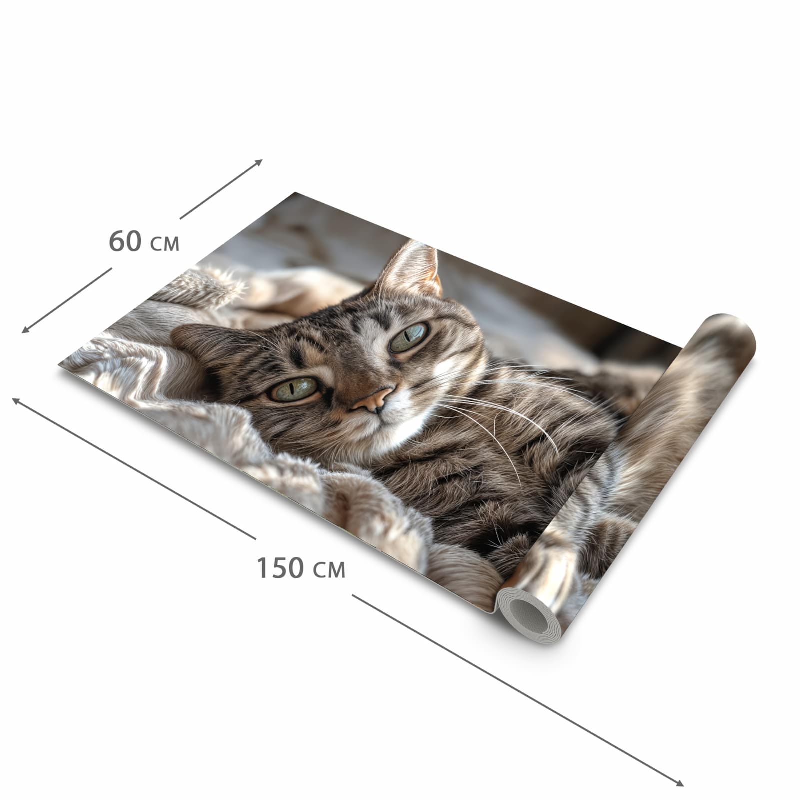 Feuchtigkeitsresistenter moderner Küchenläufer mit Motiv Gemütliche Katze in der Grösse 60x120 cm