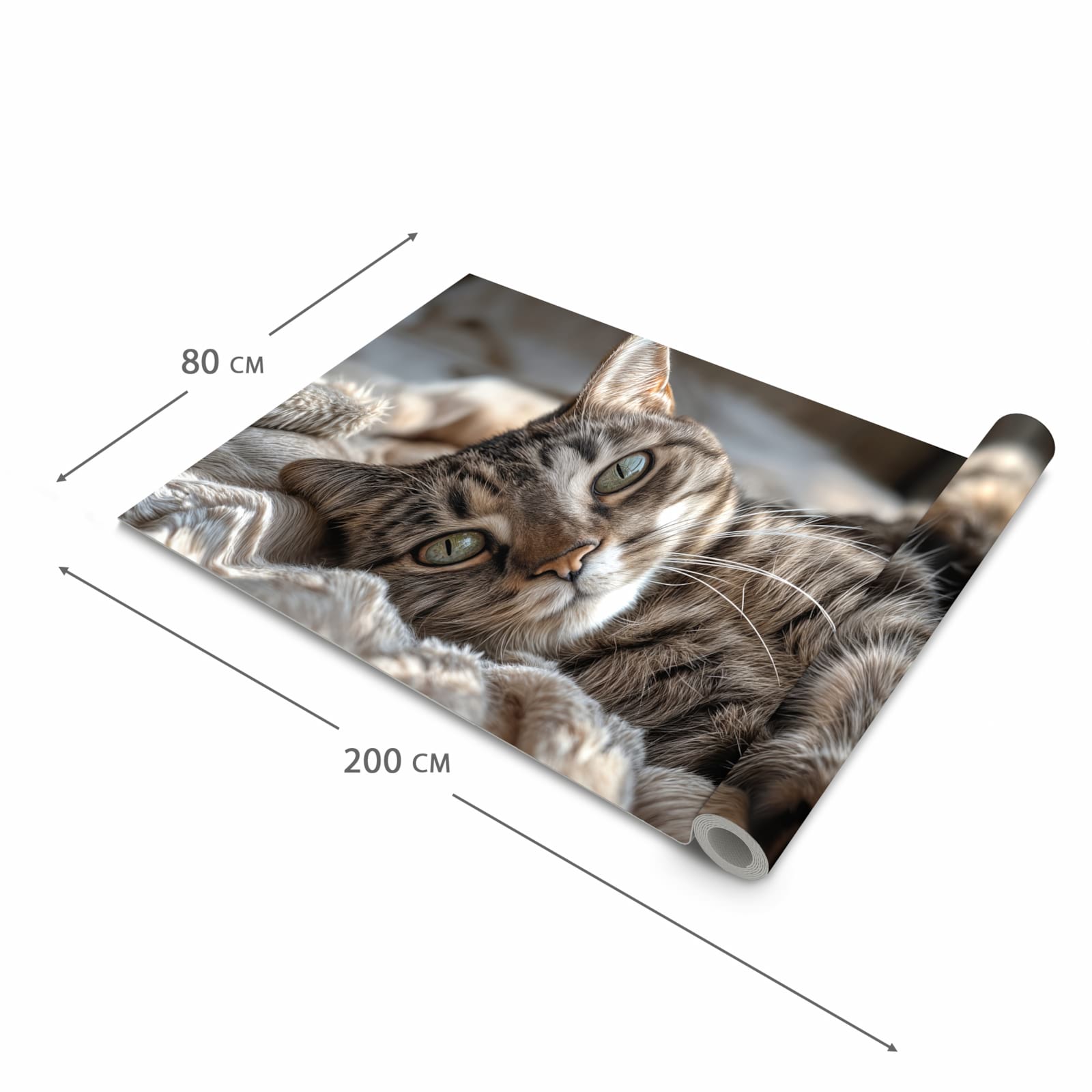Küchenteppich mit Motiv Gemütliche Katze in der Grösse 60x120 cm für sichere Aufbewahrung