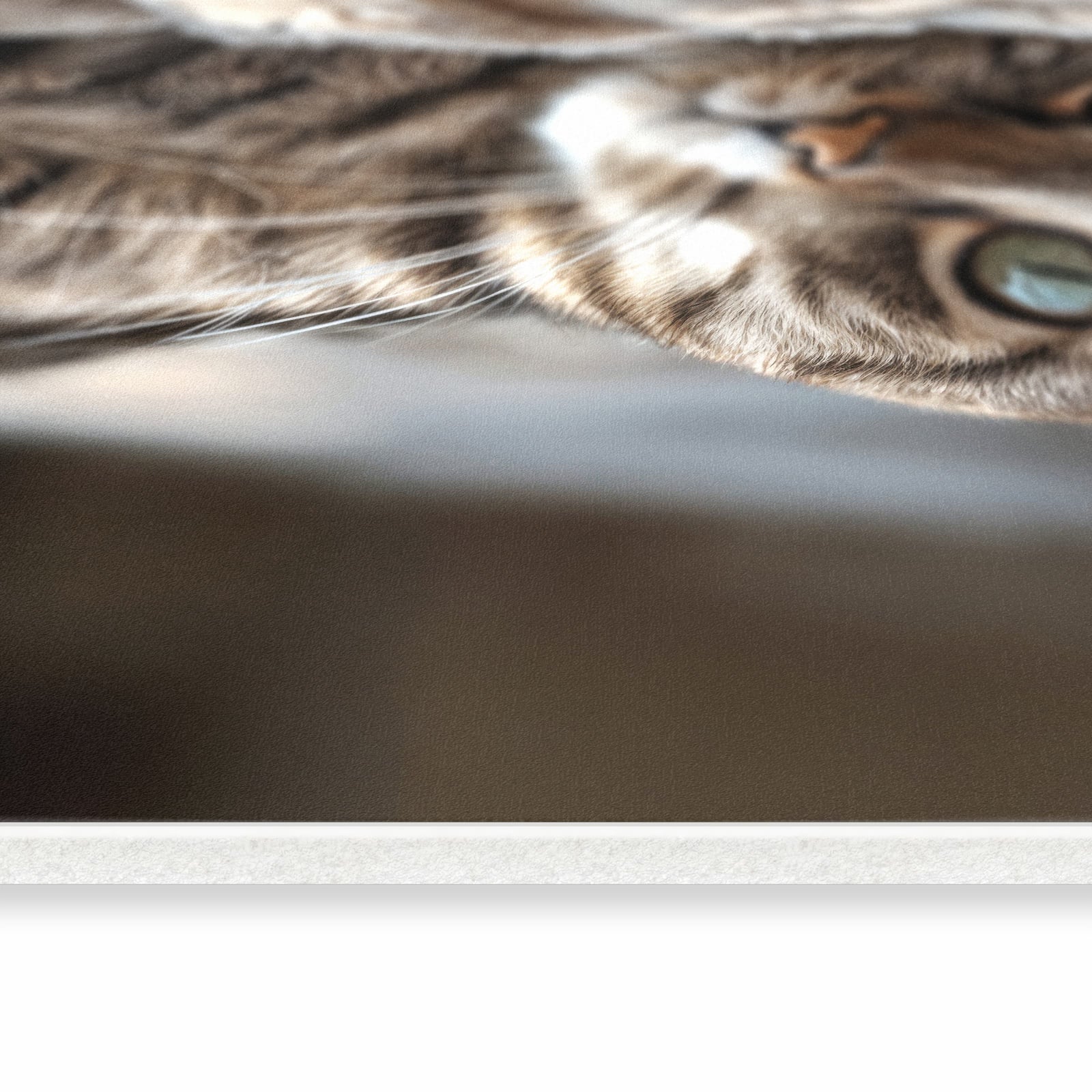 Abriebfester rutschfester Läufer mit Motiv Gemütliche Katze in seitlicher Ansicht