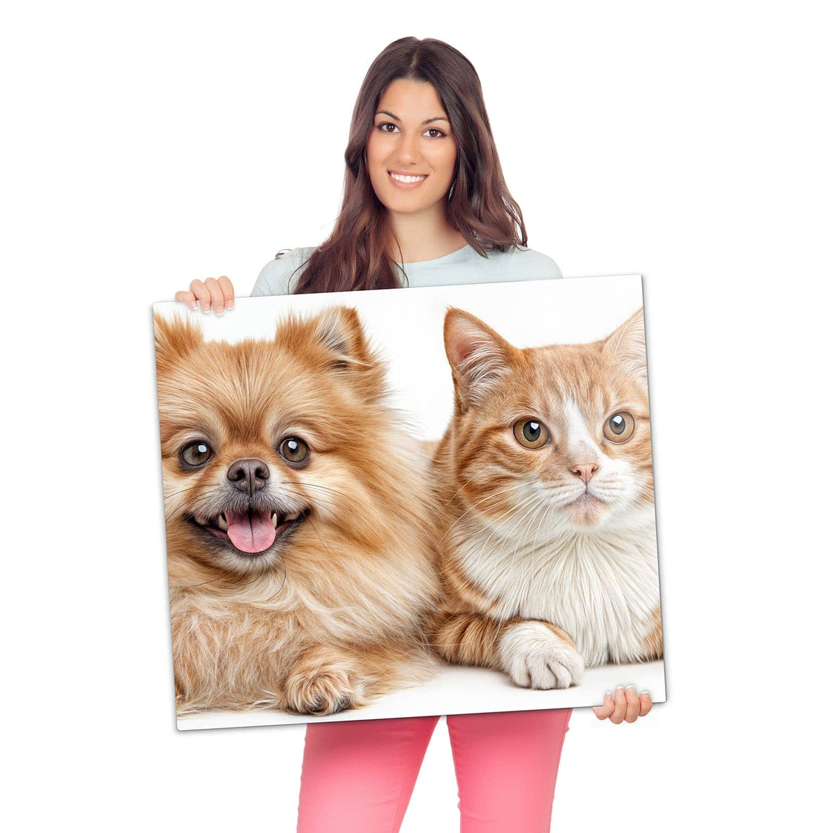 Herdabdeckplatte mit Hund und Katze-Motiv wird zur Größendarstellung gehalten