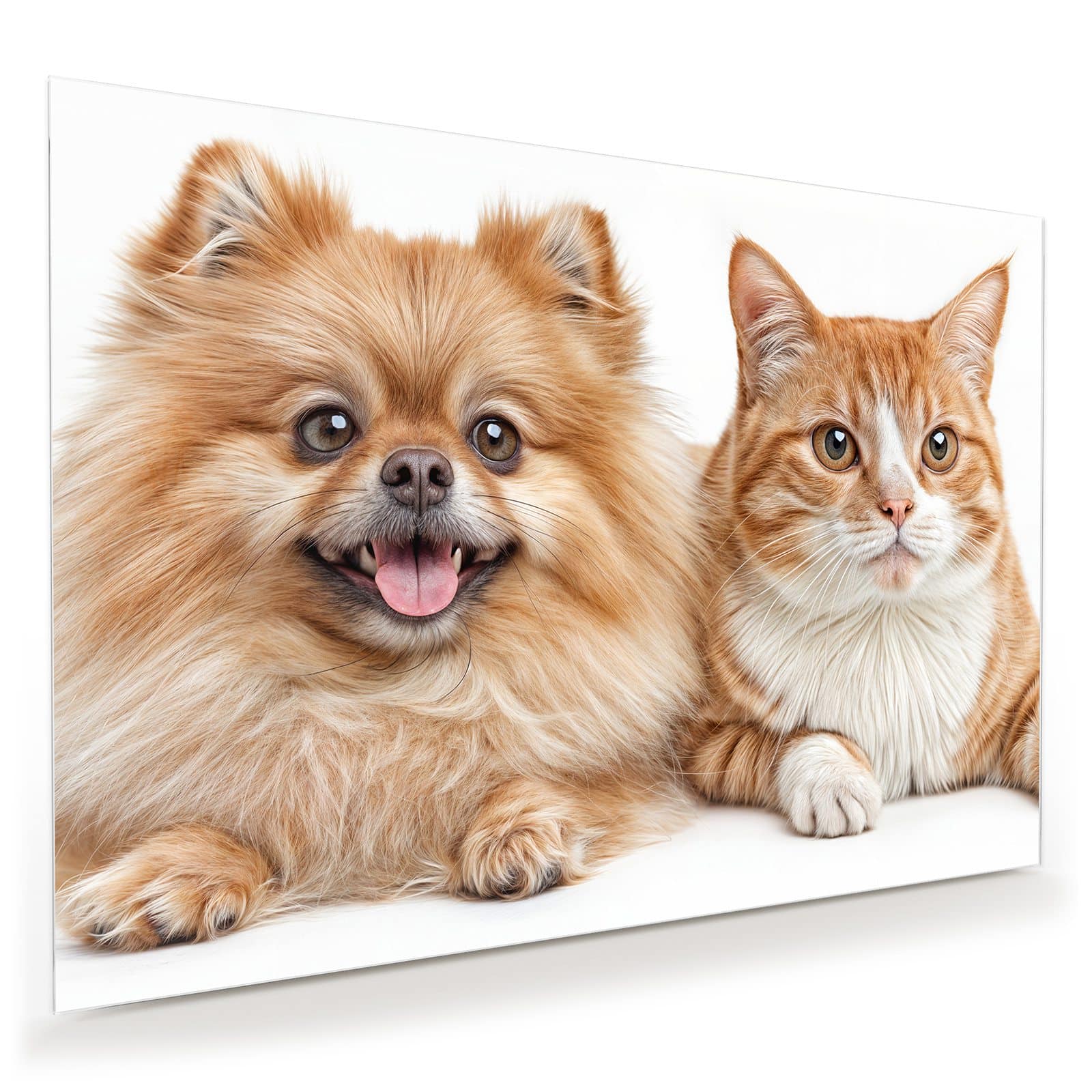 #grösse_100 x 70 cm