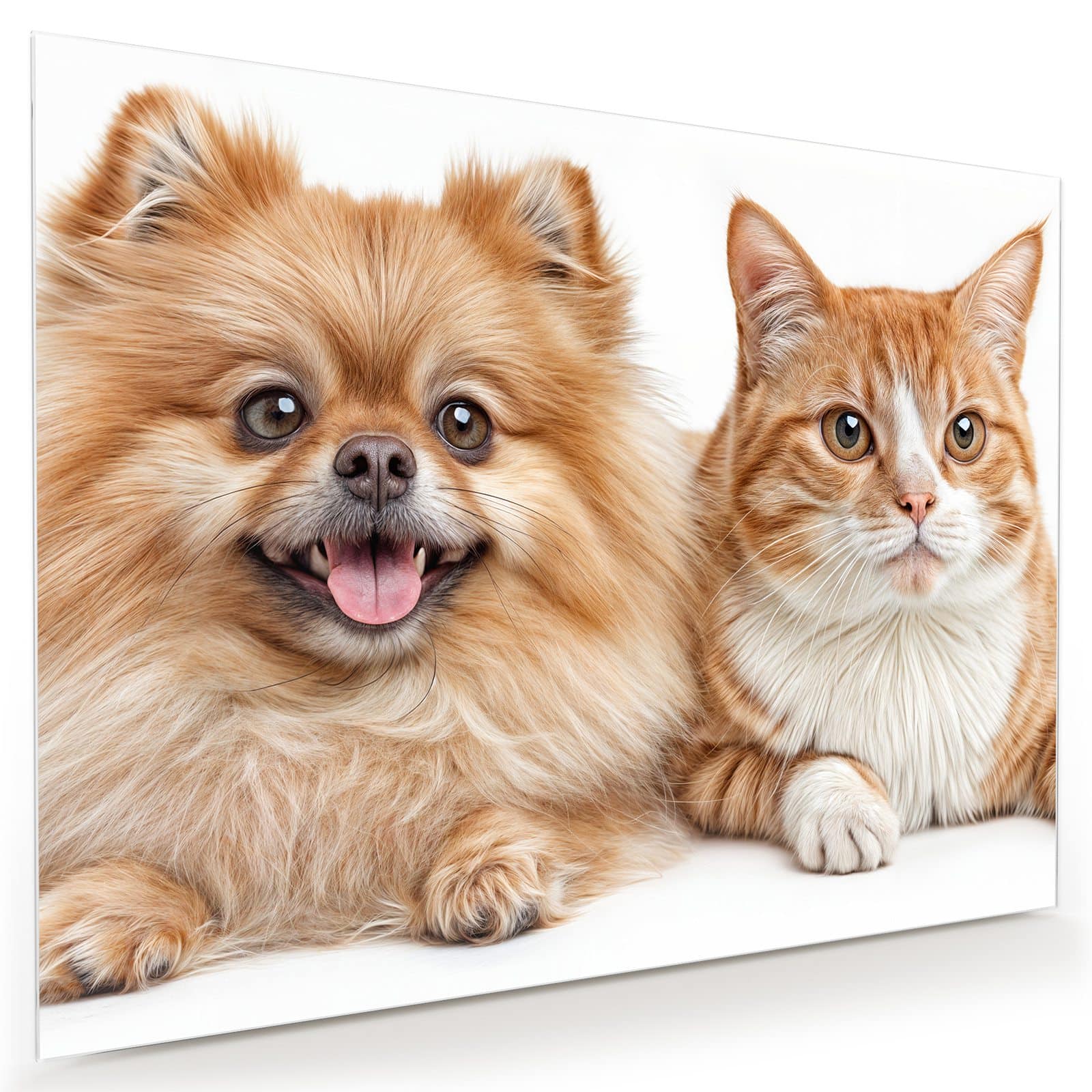 #grösse_80 x 60 cm #grösse_100 x 75 cm #grösse_120 x 90 cm