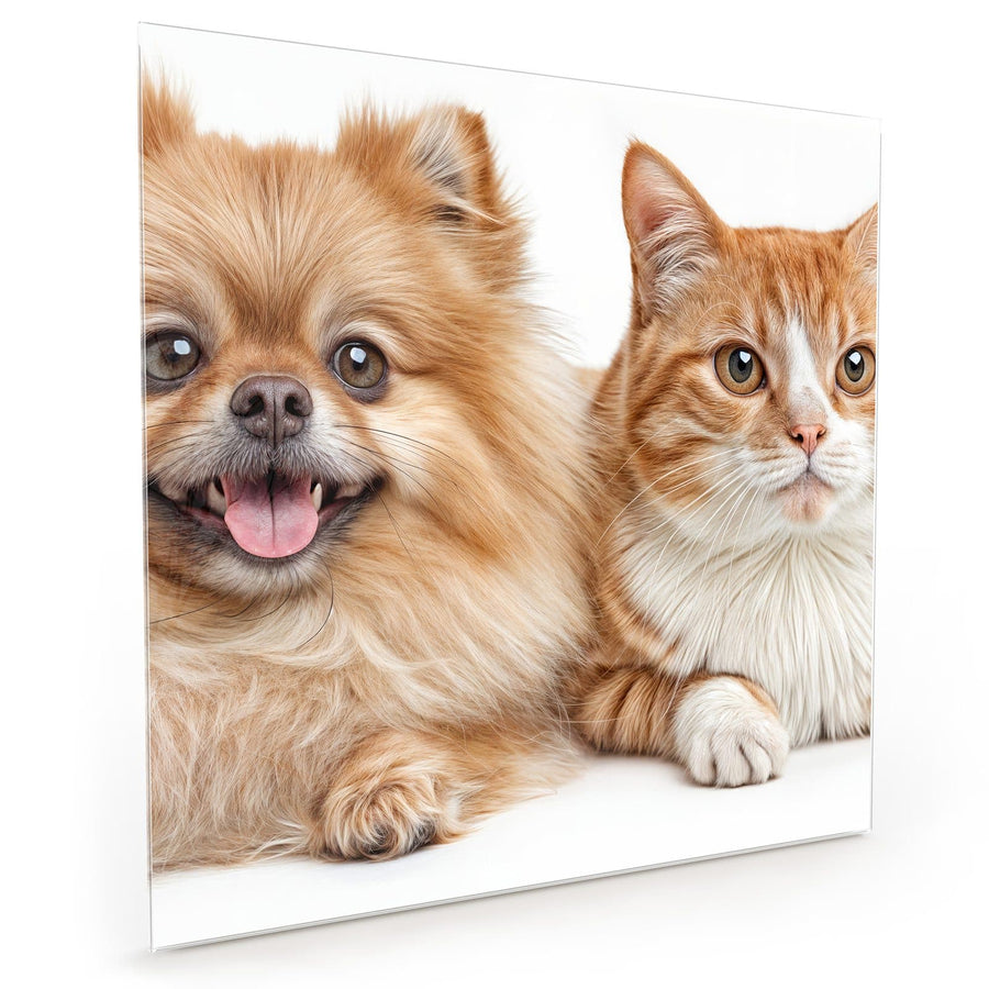 Maße Küchenrückwand Spitz und Katze aus Glas