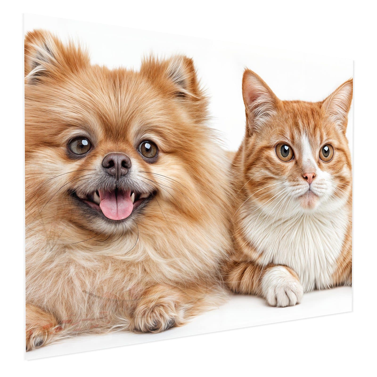 #grösse_75 x 60 cm #grösse_100 x 80 cm