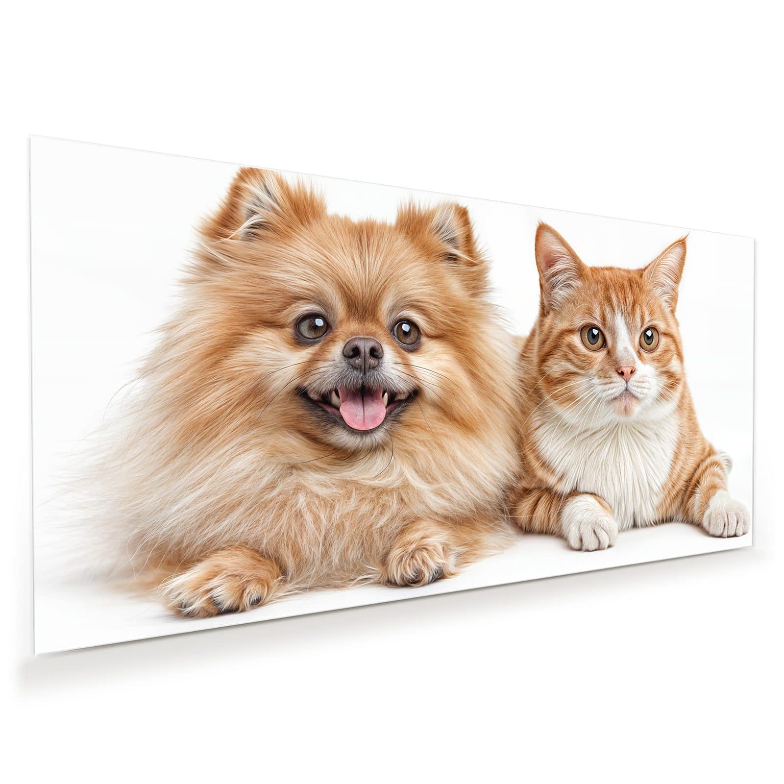 #grösse_60 x 30 cm #grösse_80 x 40 cm #grösse_100 x 50 cm #grösse_110 x 55 cm #grösse_120 x 60 cm